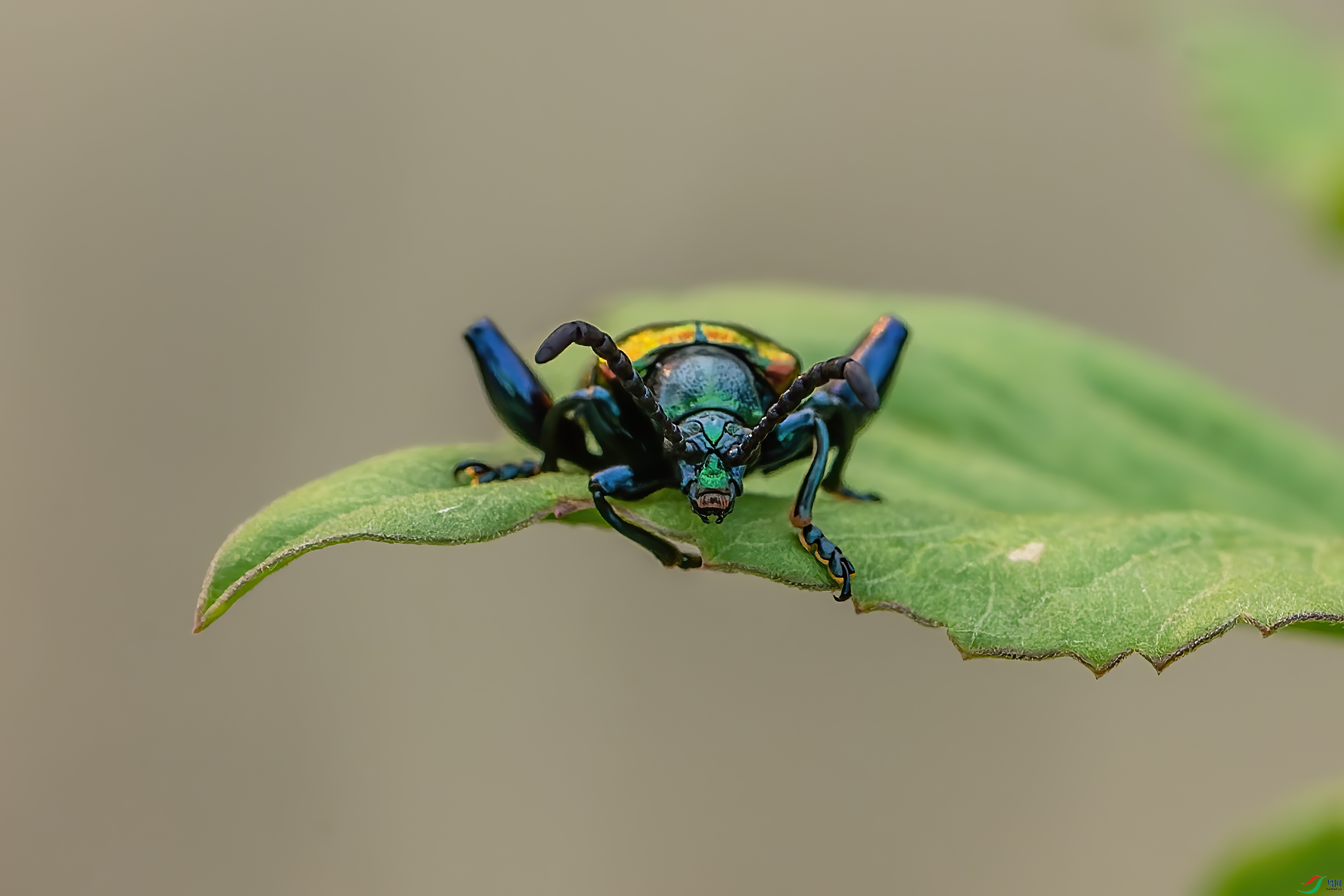 DSC_4418.jpg