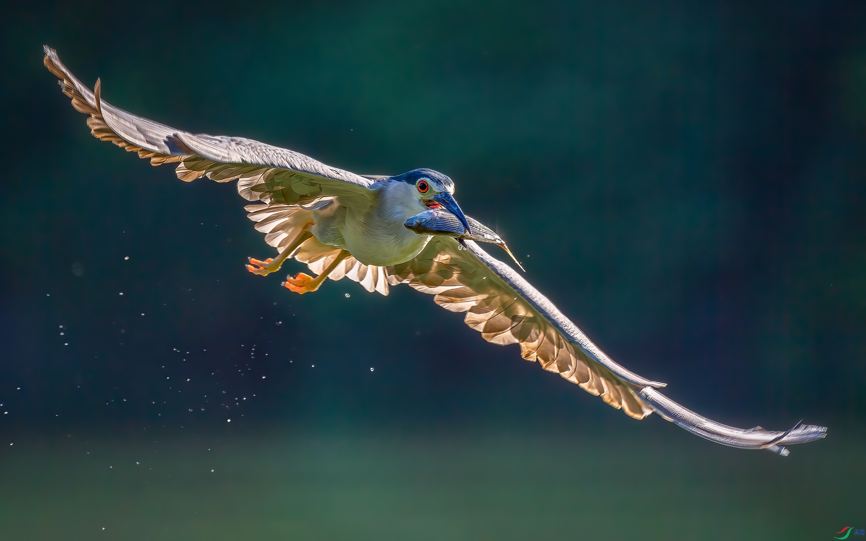 DSC_0023 ����.jpg