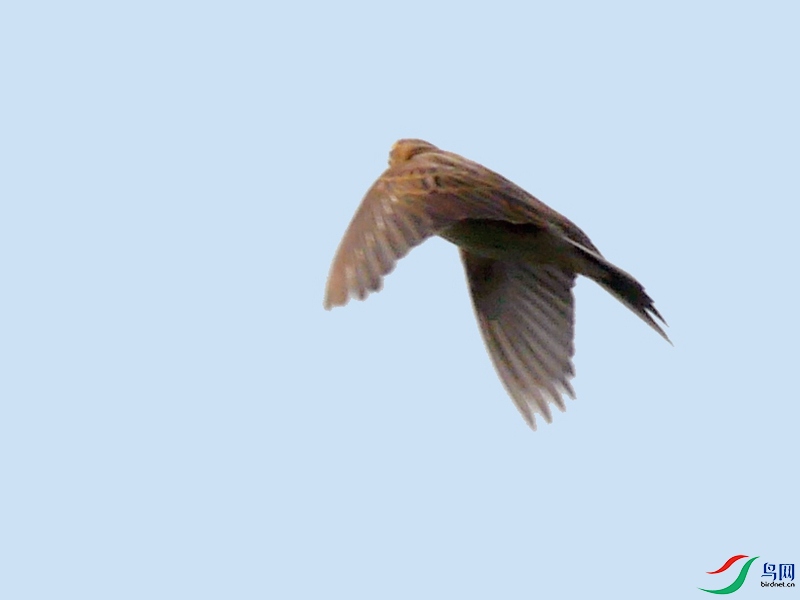 P9030879 - ����.JPG