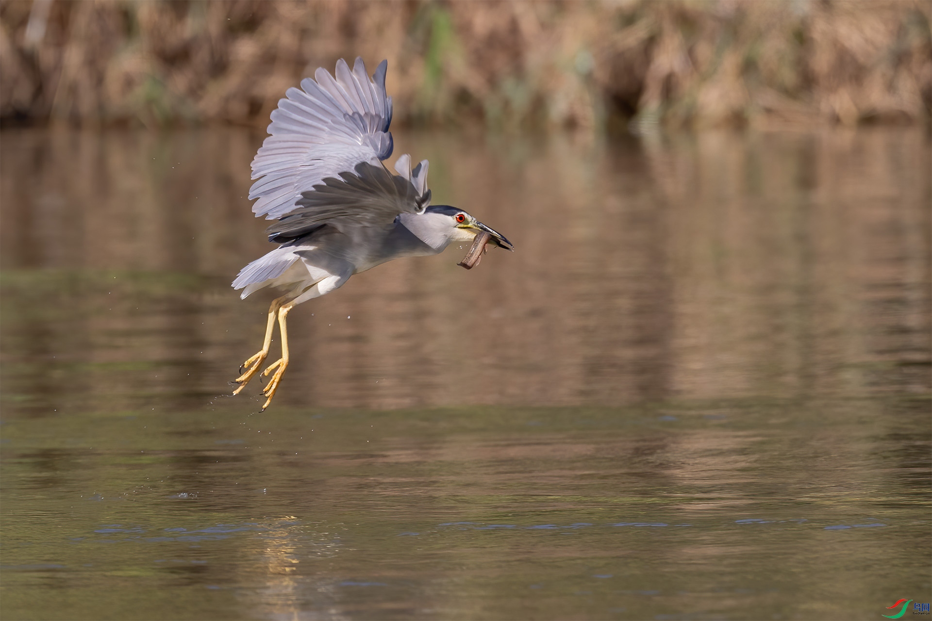 A86I5636-2.jpg