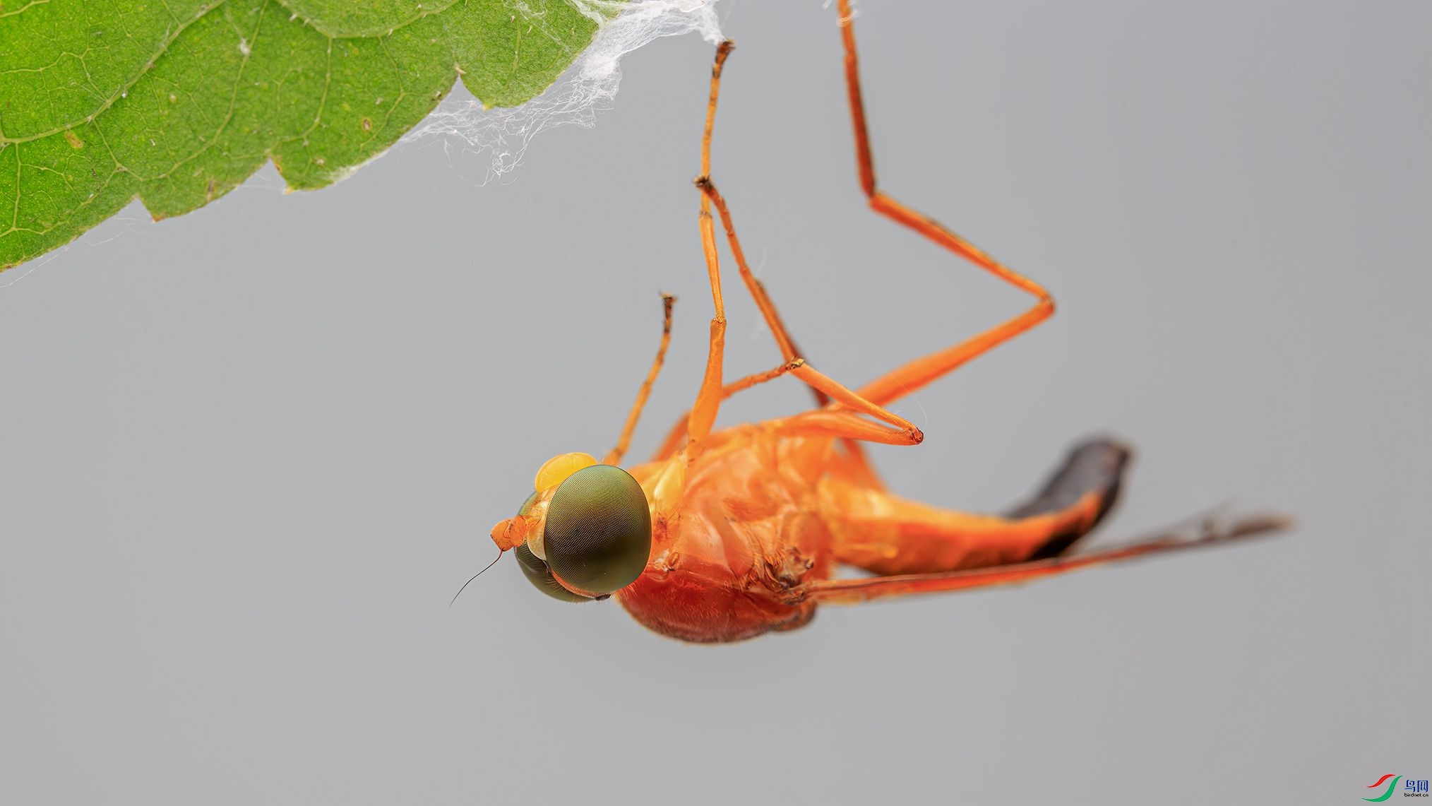 7G9A6756-1_����.jpg