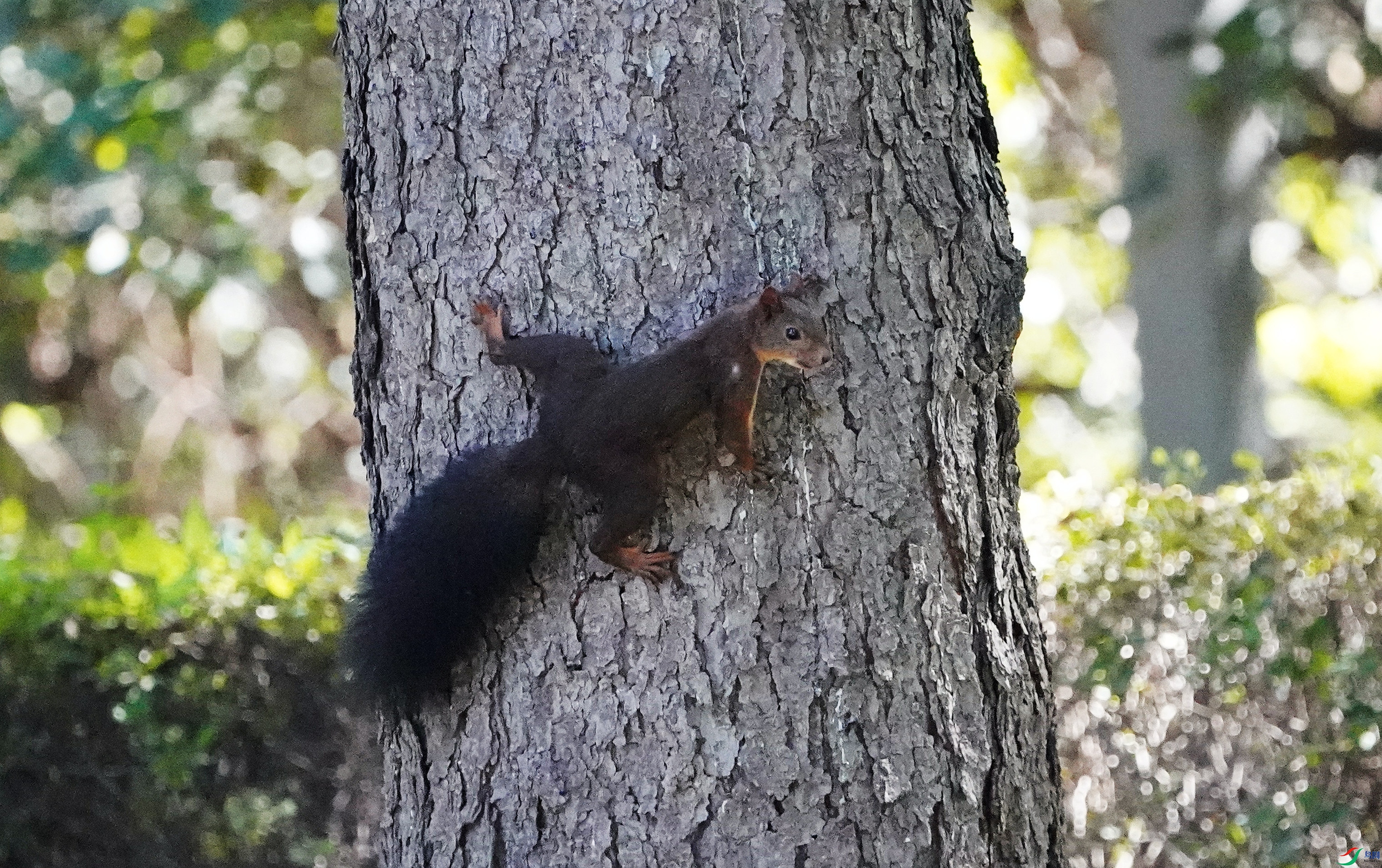 DSC07770_����.jpg