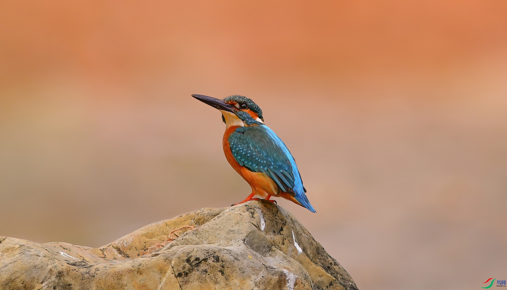 ADS_1031 ���� 3.jpg