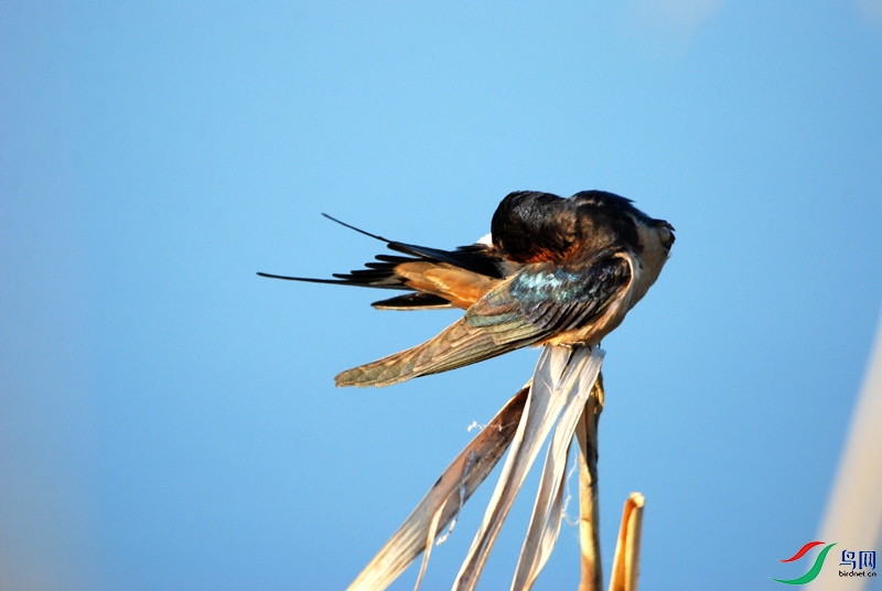 DSC_5132.jpg
