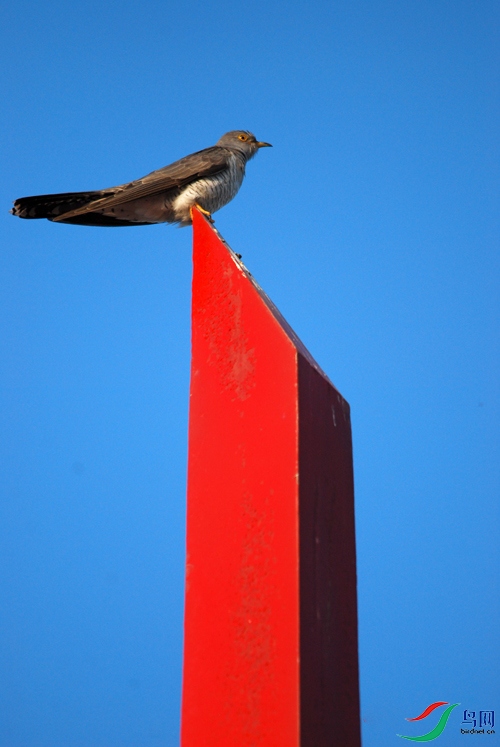 DSC_5291.jpg