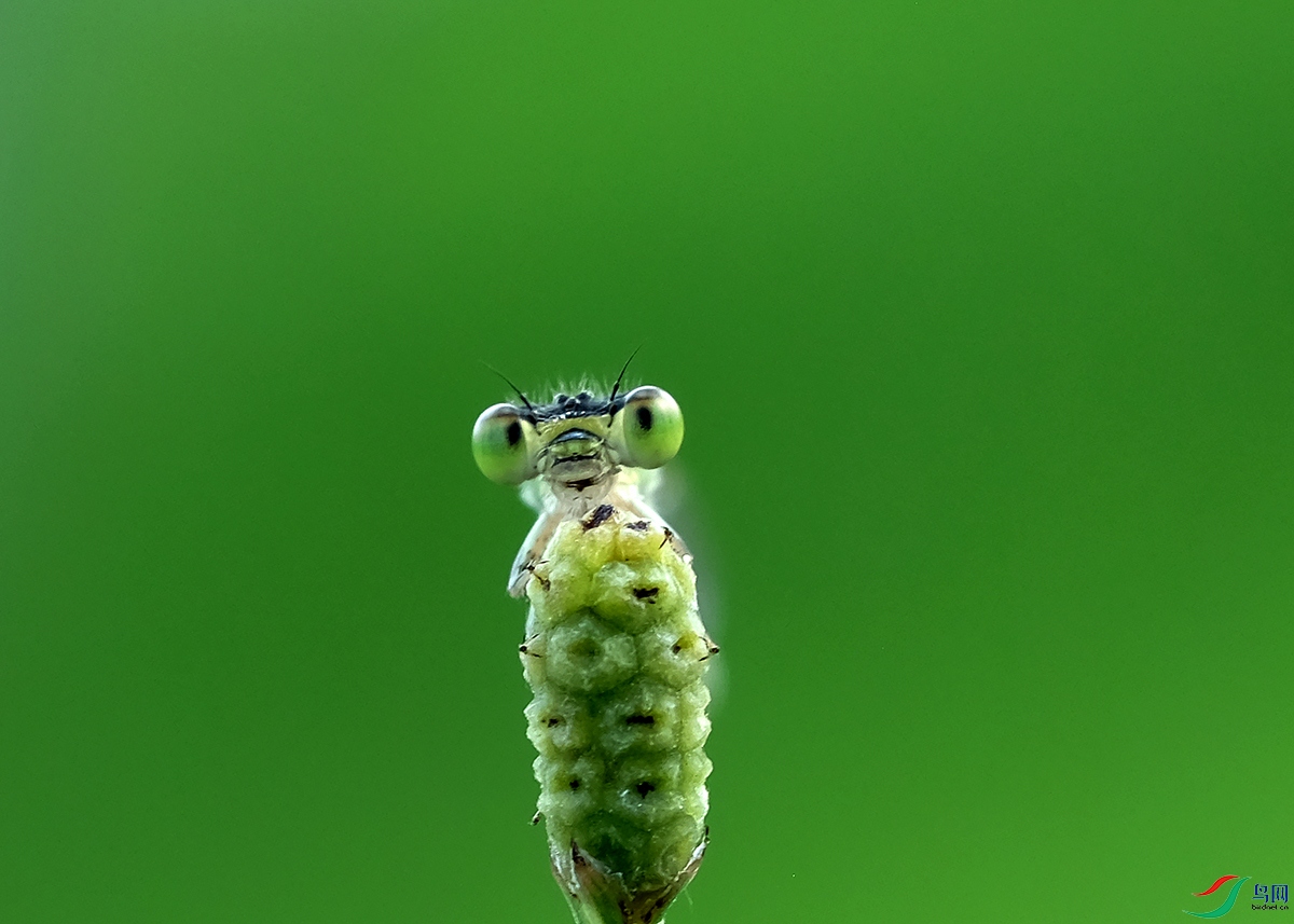 DSCF3906 B.JPG