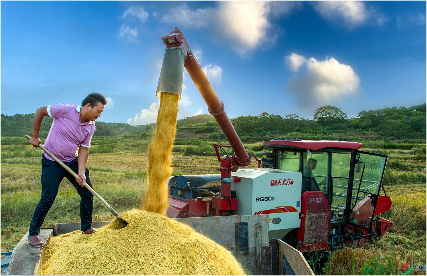 _DSC9723SSSSS    .jpg