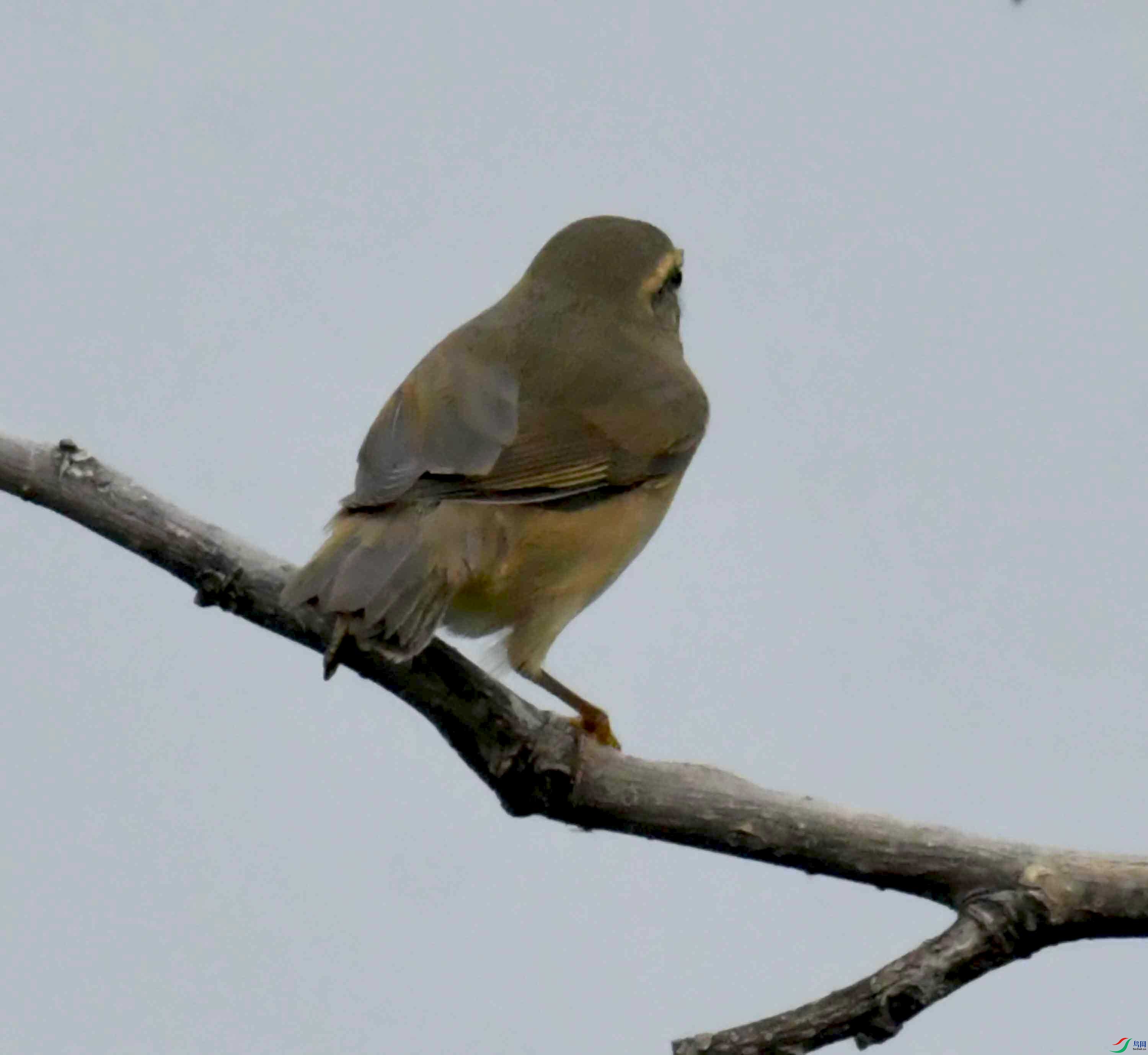 DSC_2759.JPG