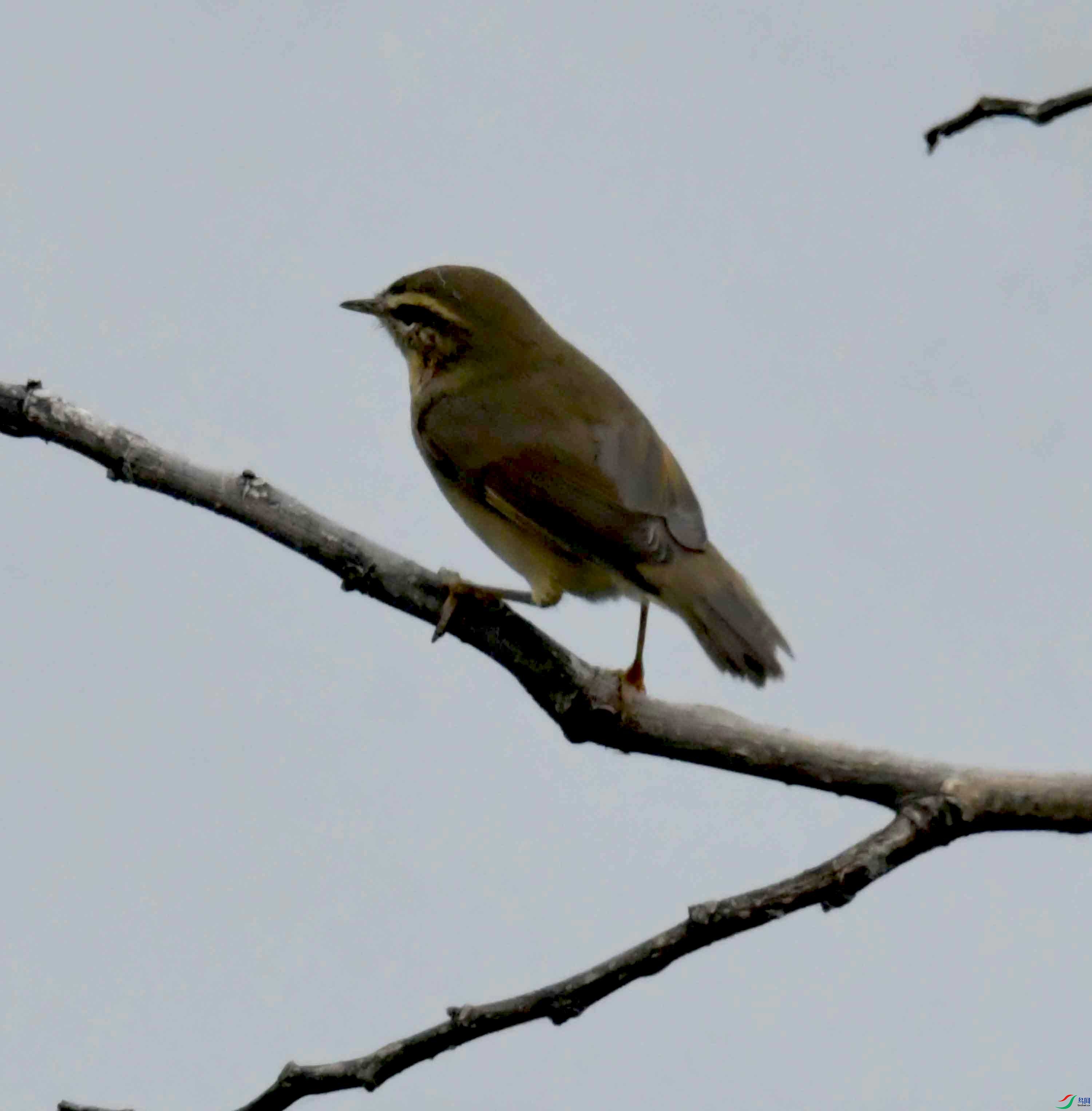 DSC_2765.JPG