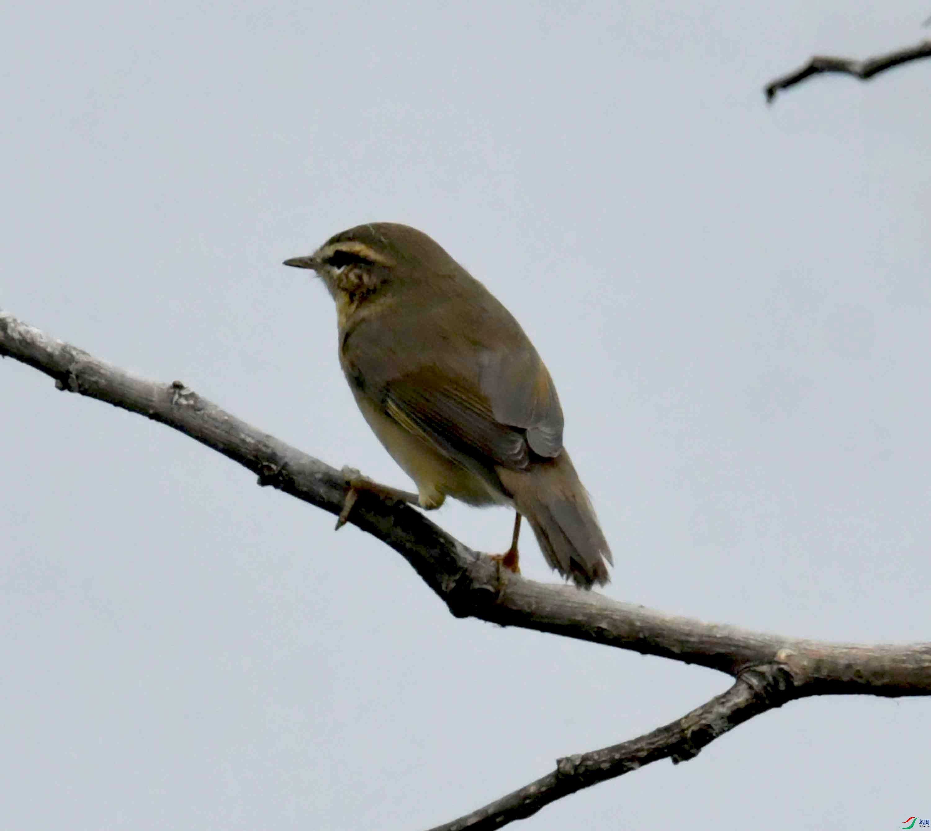 DSC_2763.JPG