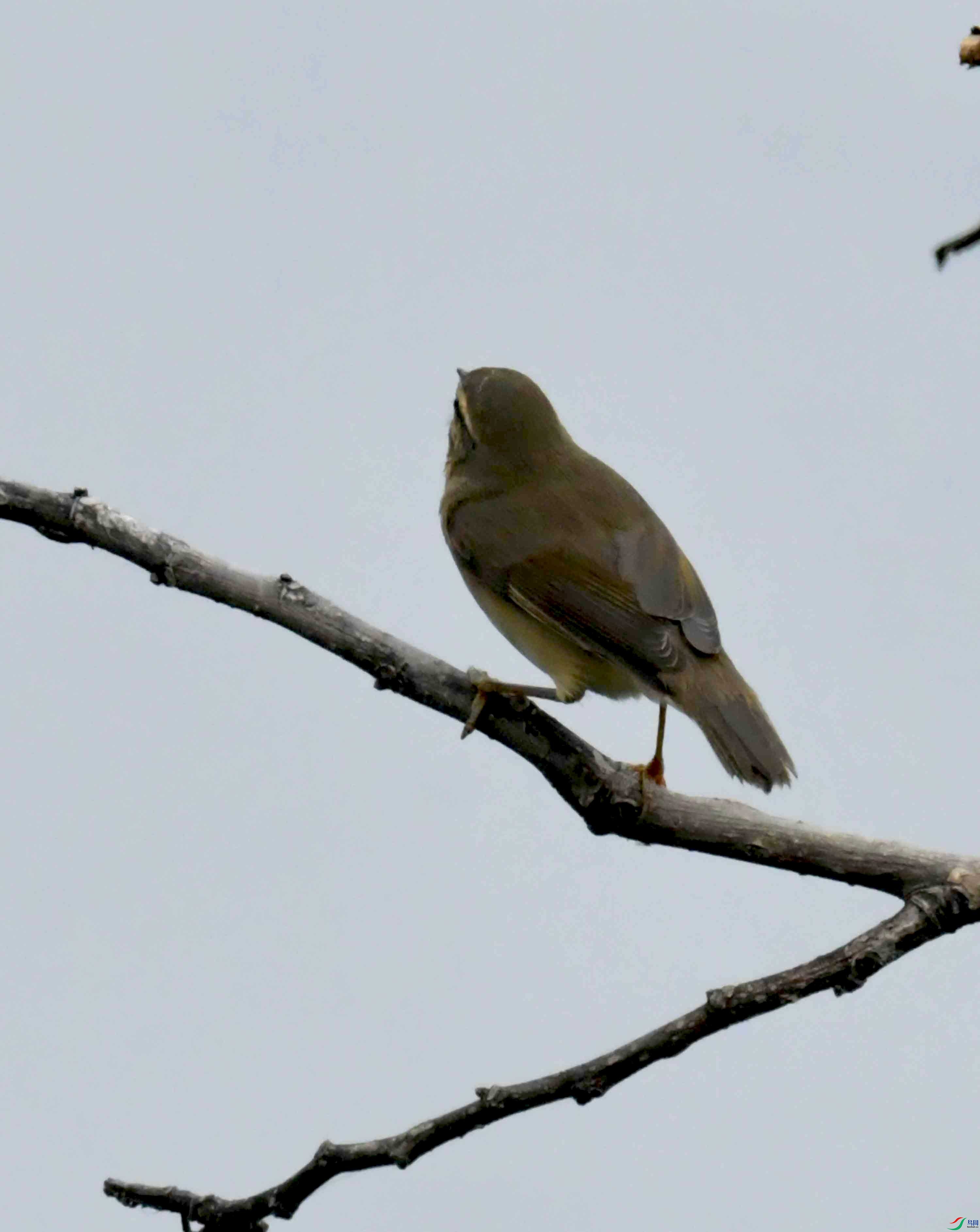 DSC_2766.JPG