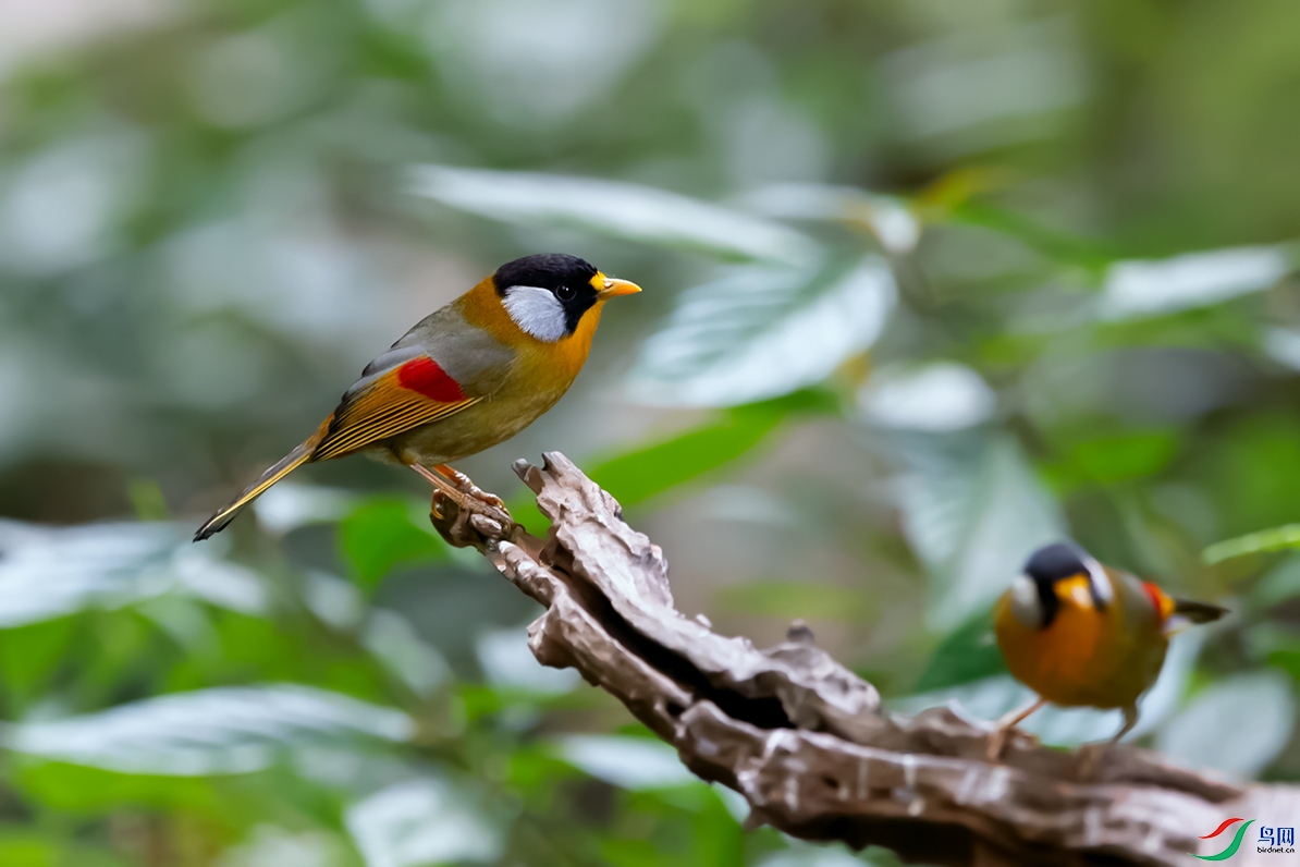 DSC_5575_DxOa.jpg