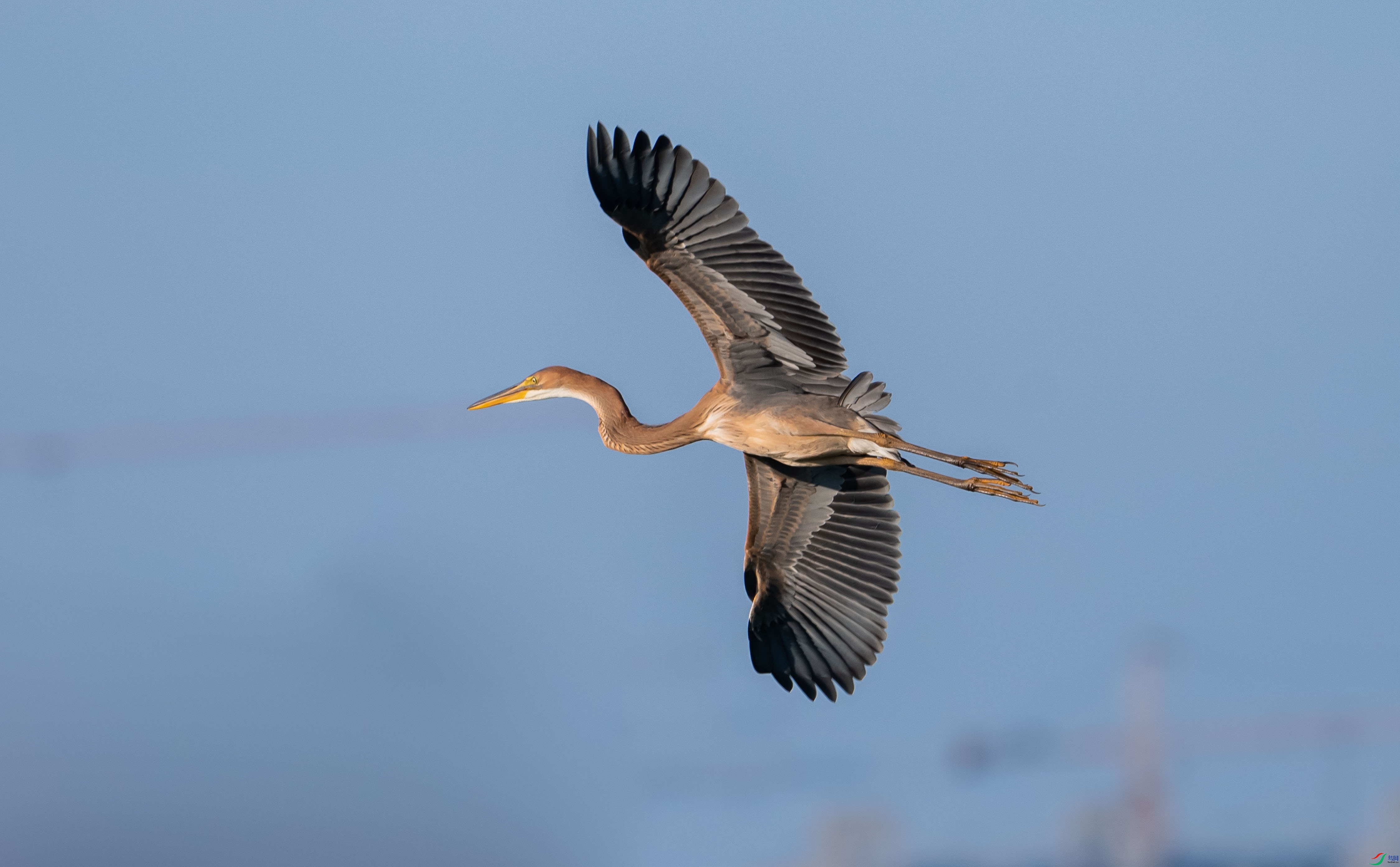 ����
