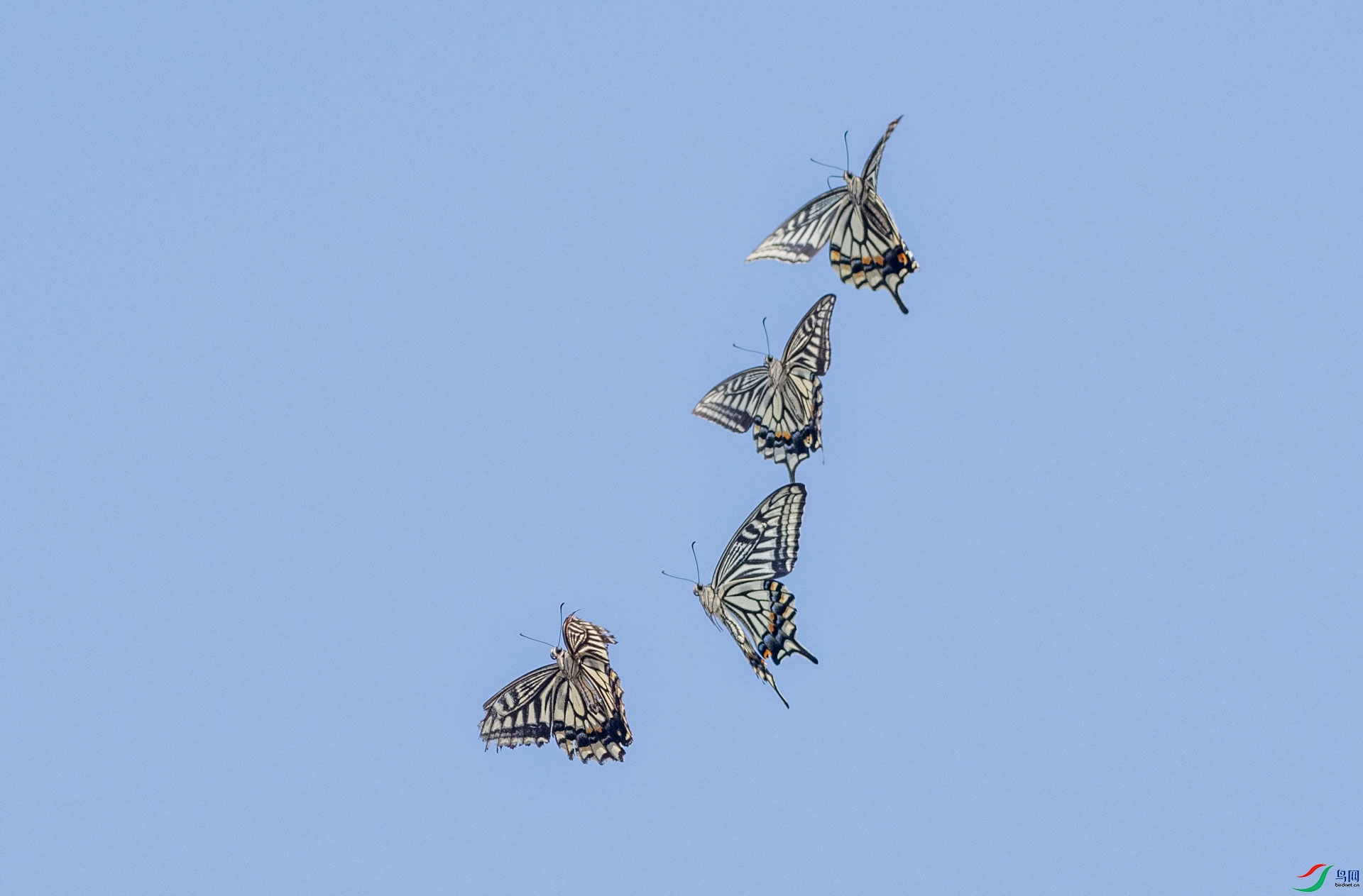 DSC_0275.jpg