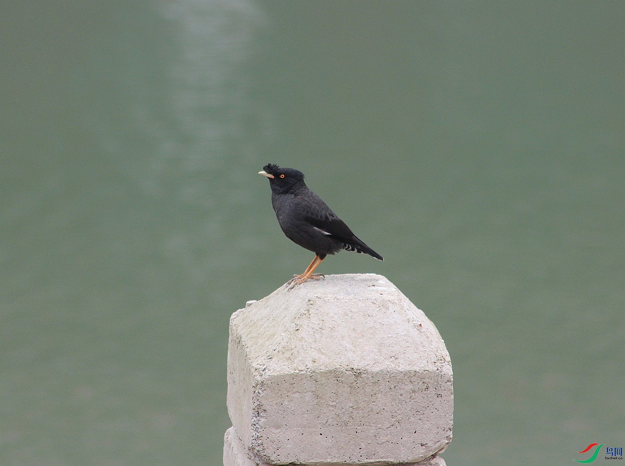 IMG_0006.jpg