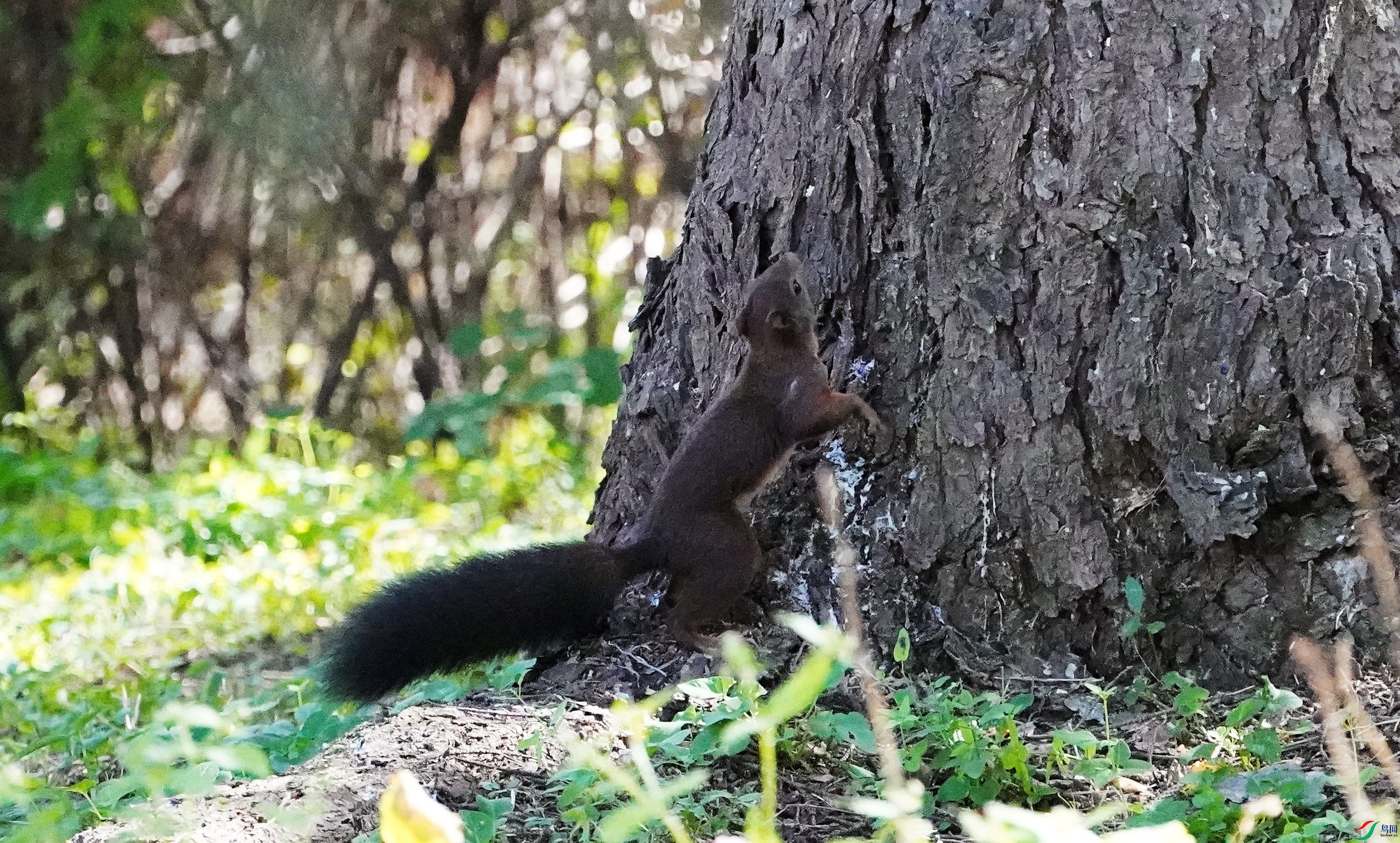 DSC07753_����.jpg