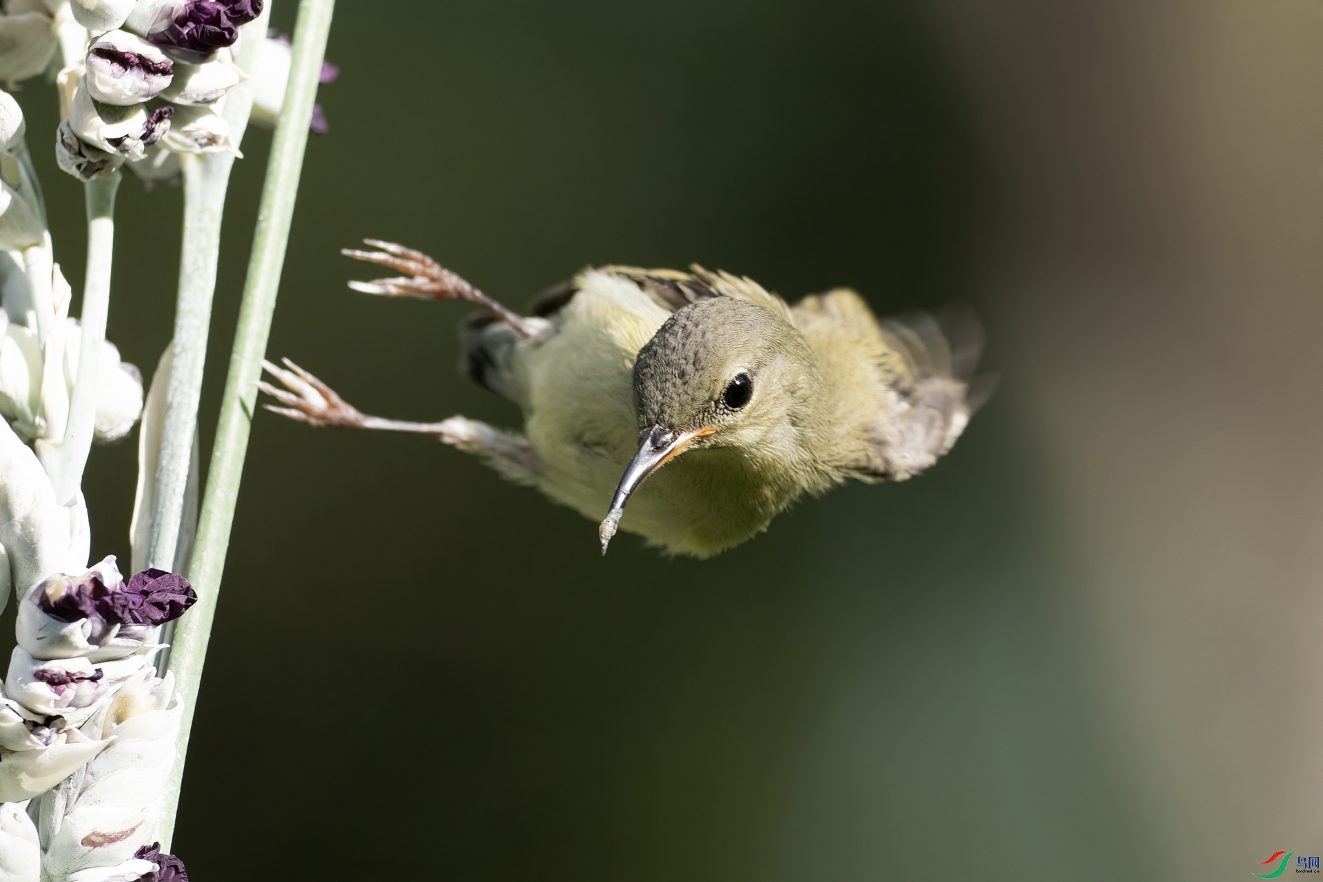 P9201849-1.jpg