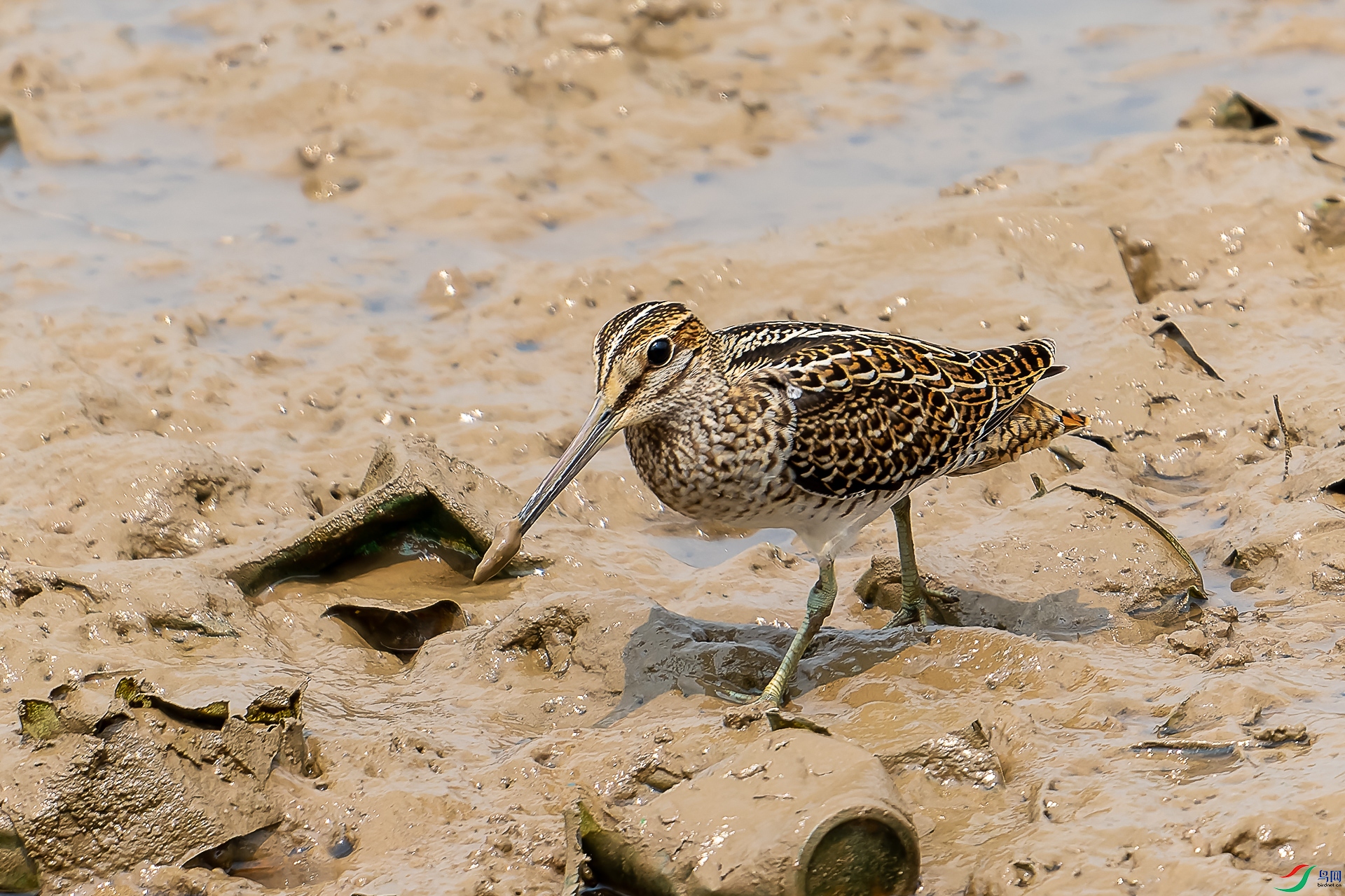DSC09277-ARW_DxO_DeepPRIME-1-2.jpg