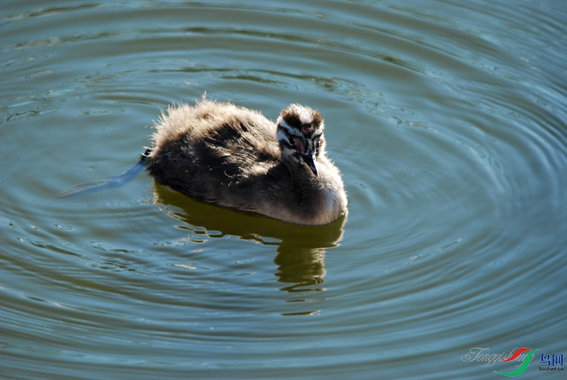 DSC_9477.jpg