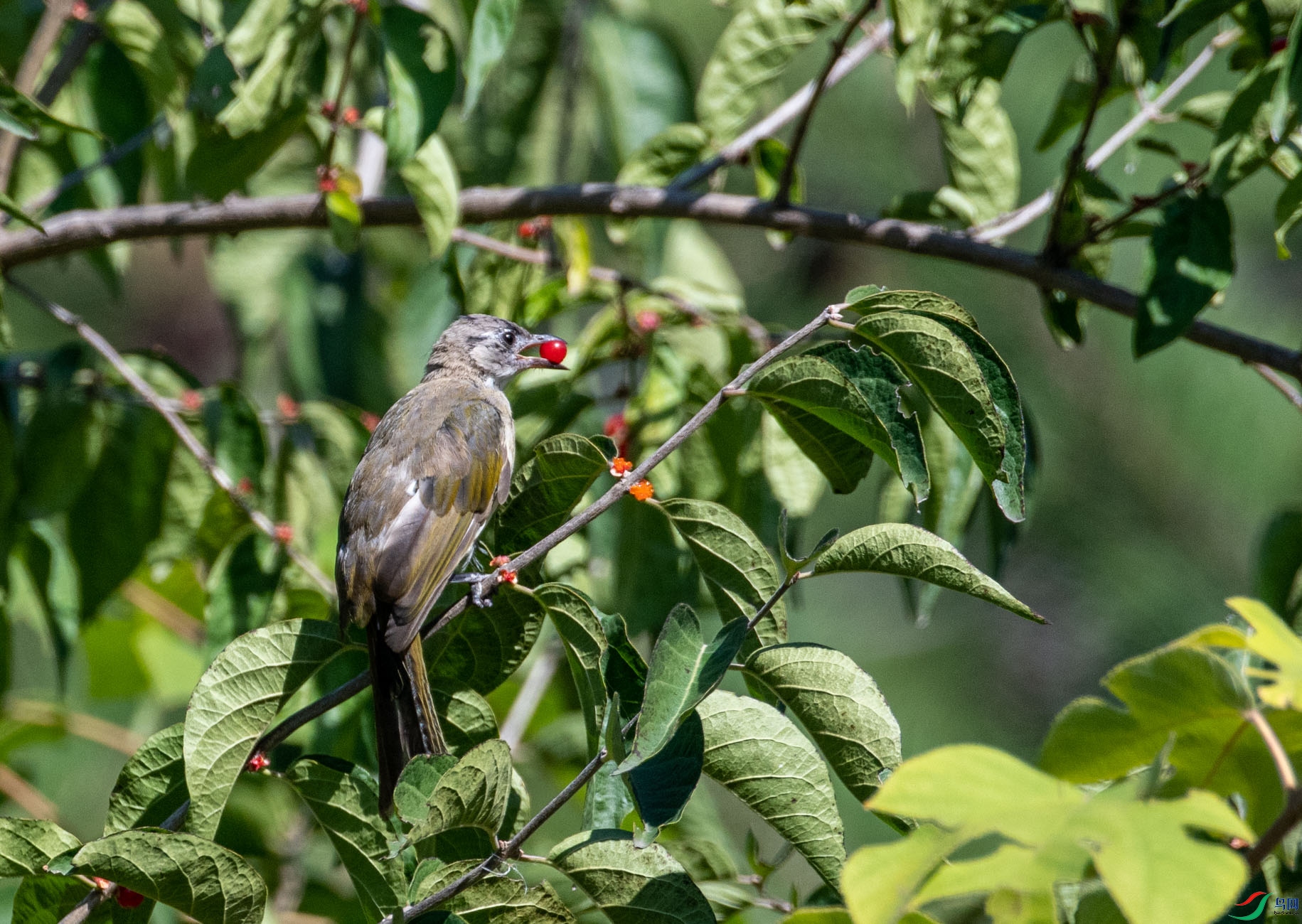 DSC_1769.jpg
