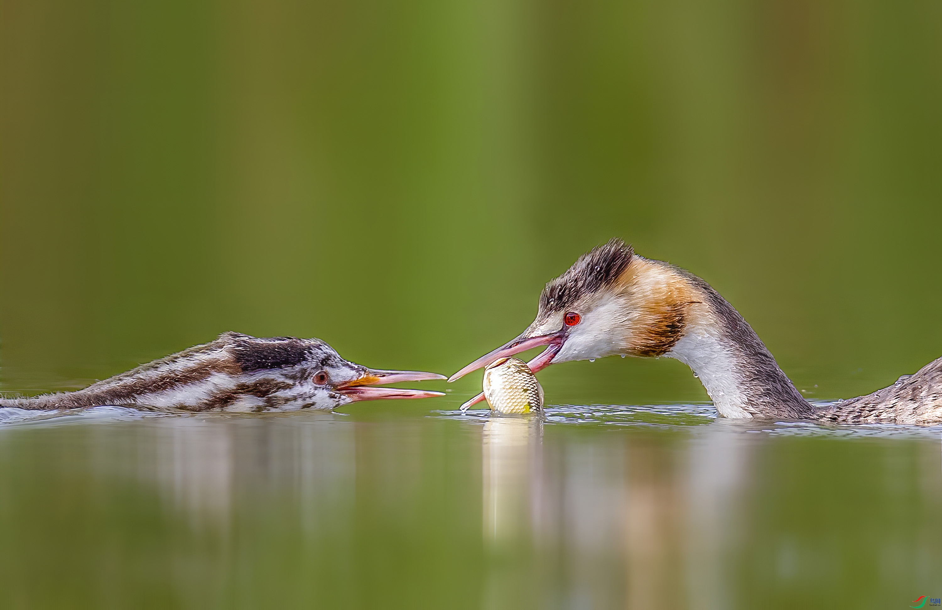 _JLN3225_1     ok.jpg