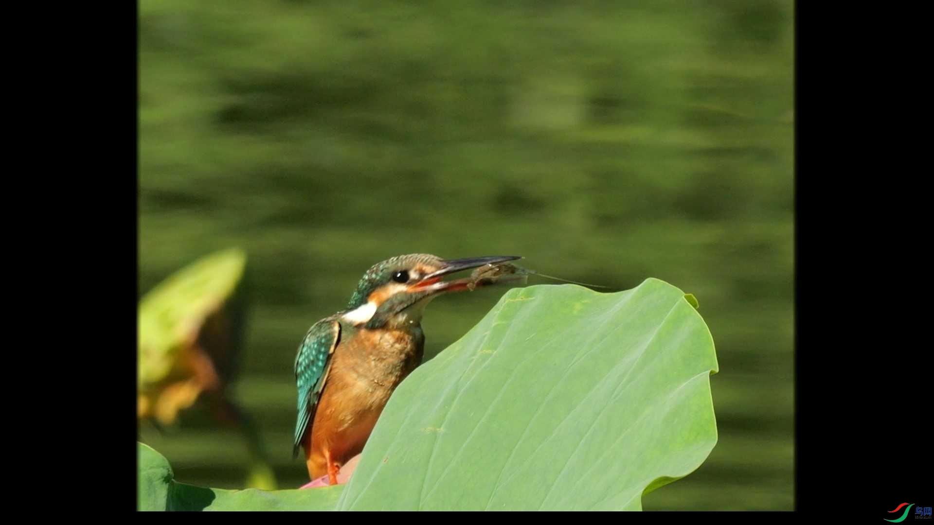 8��19�� (3)_Moment.jpg