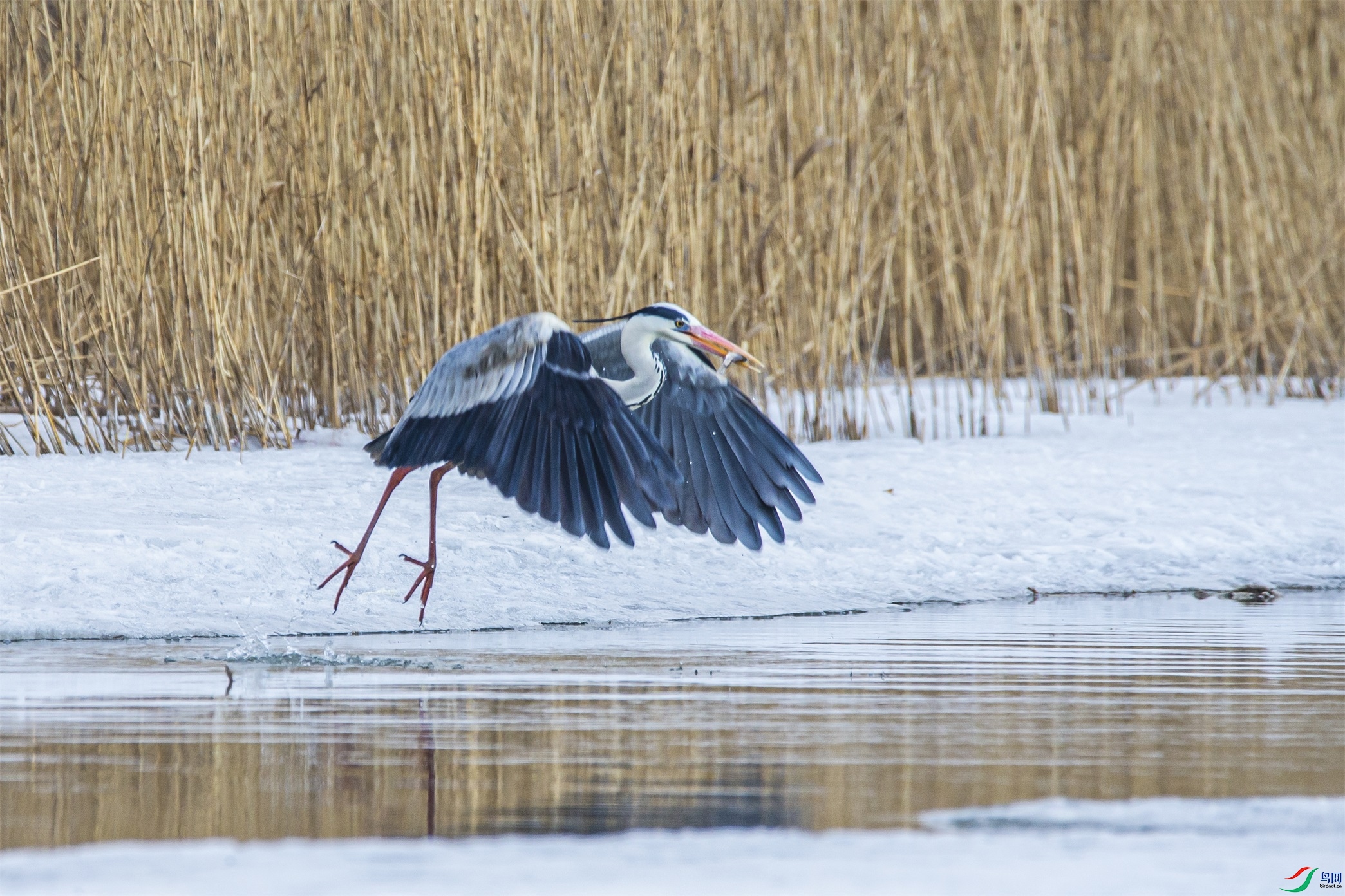 DK7T0004 ����1.jpg