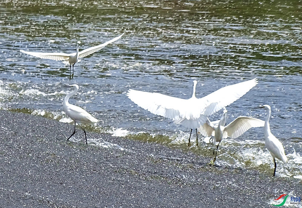 DSC021085.jpg