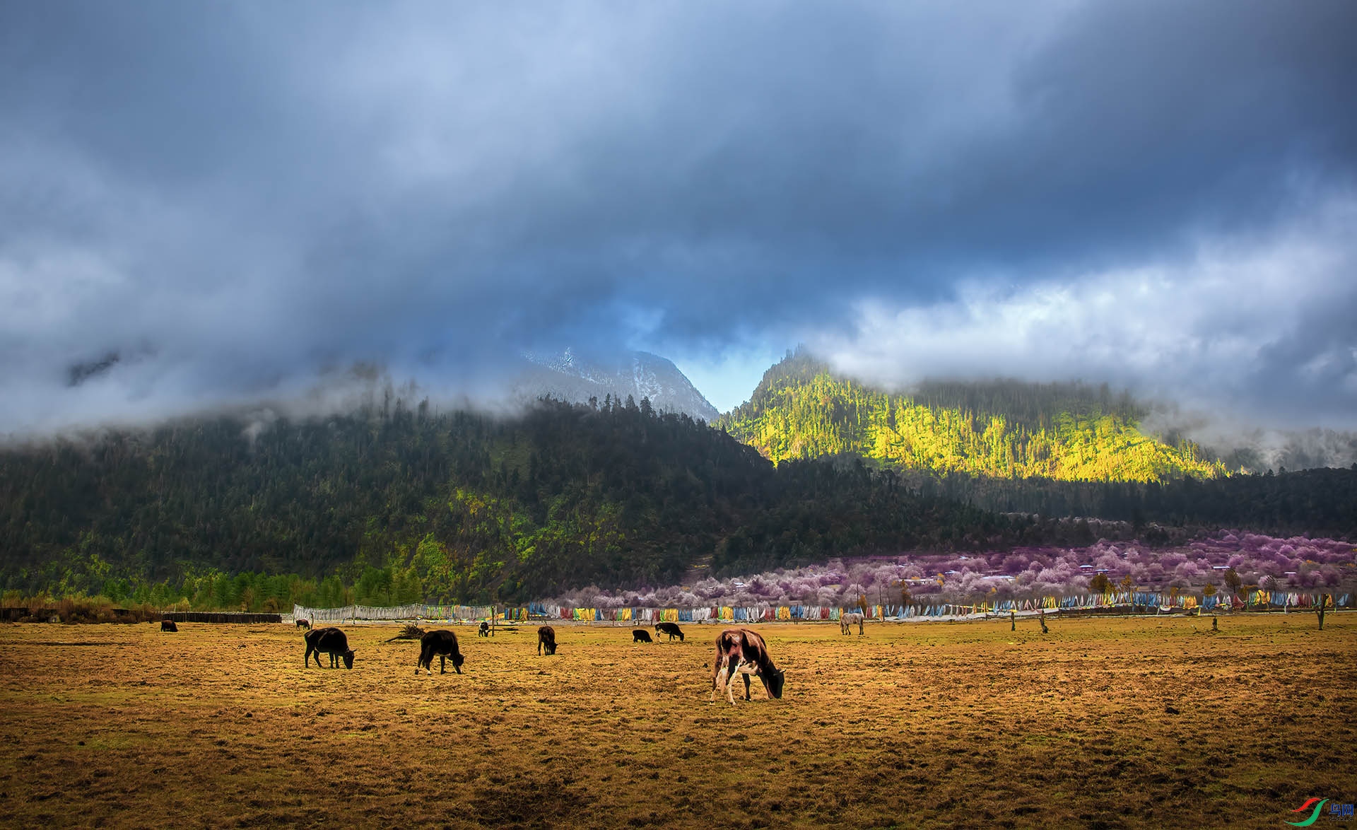 _DSC9048 - 02-DeNoiseAI-clear - ���ܵ��糿 - AA.jpg