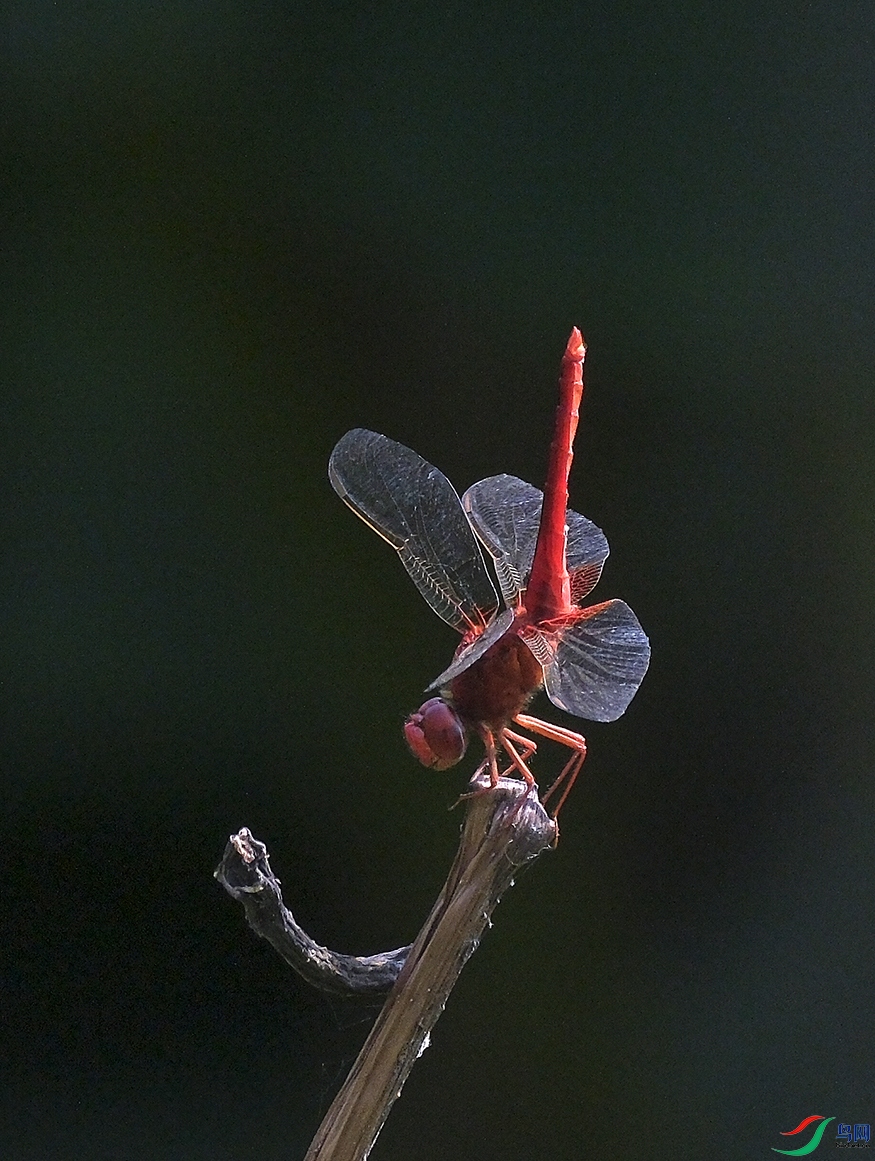 DSCF1723.JPG