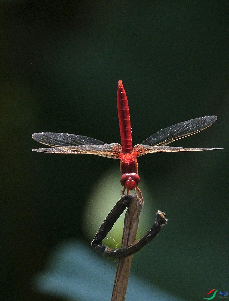 DSCF1765.JPG