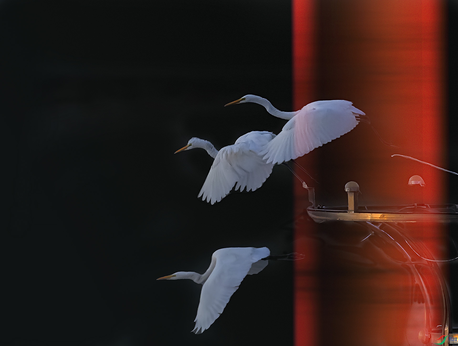 019A4291 ����.jpg