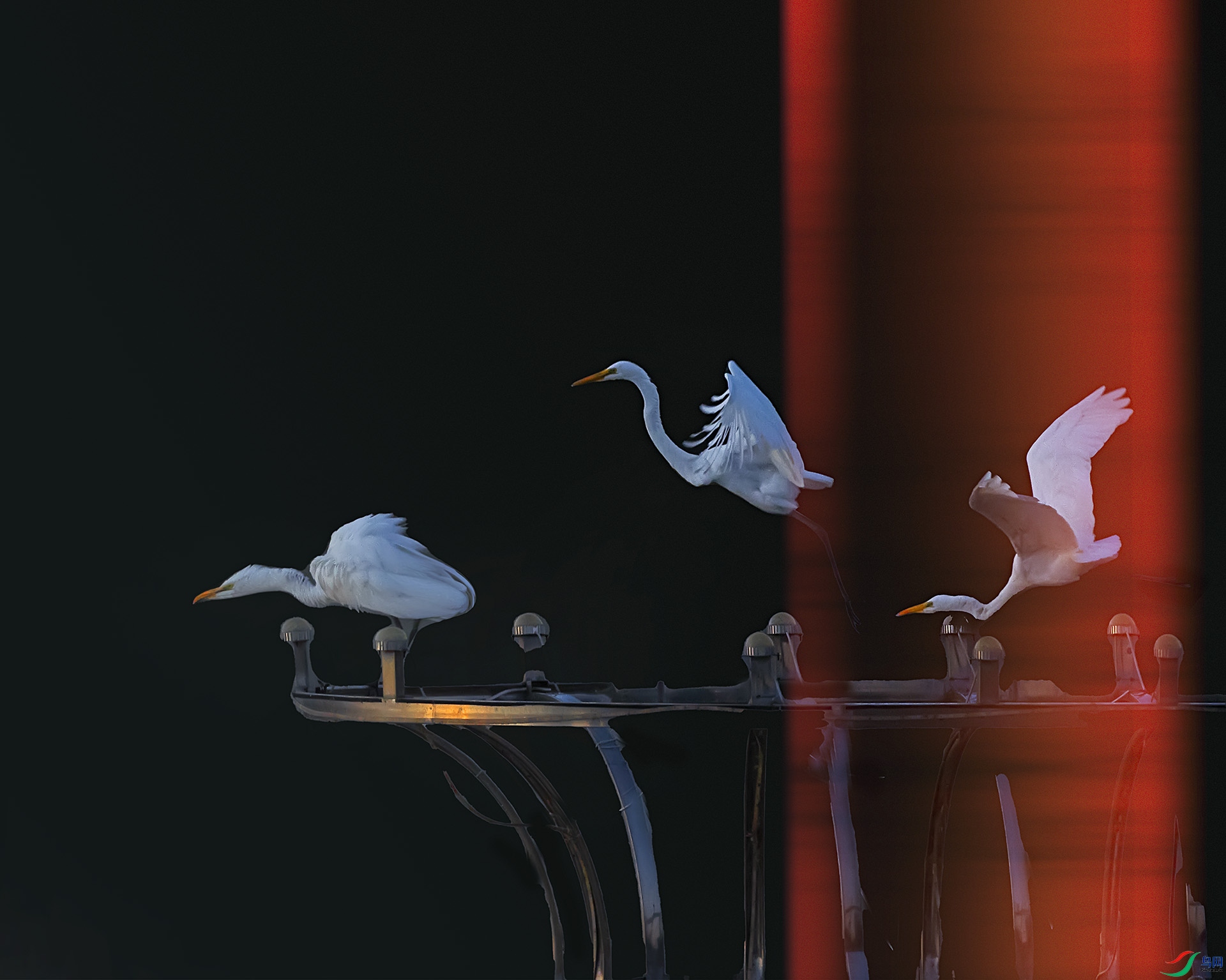 019A4282 ����.jpg