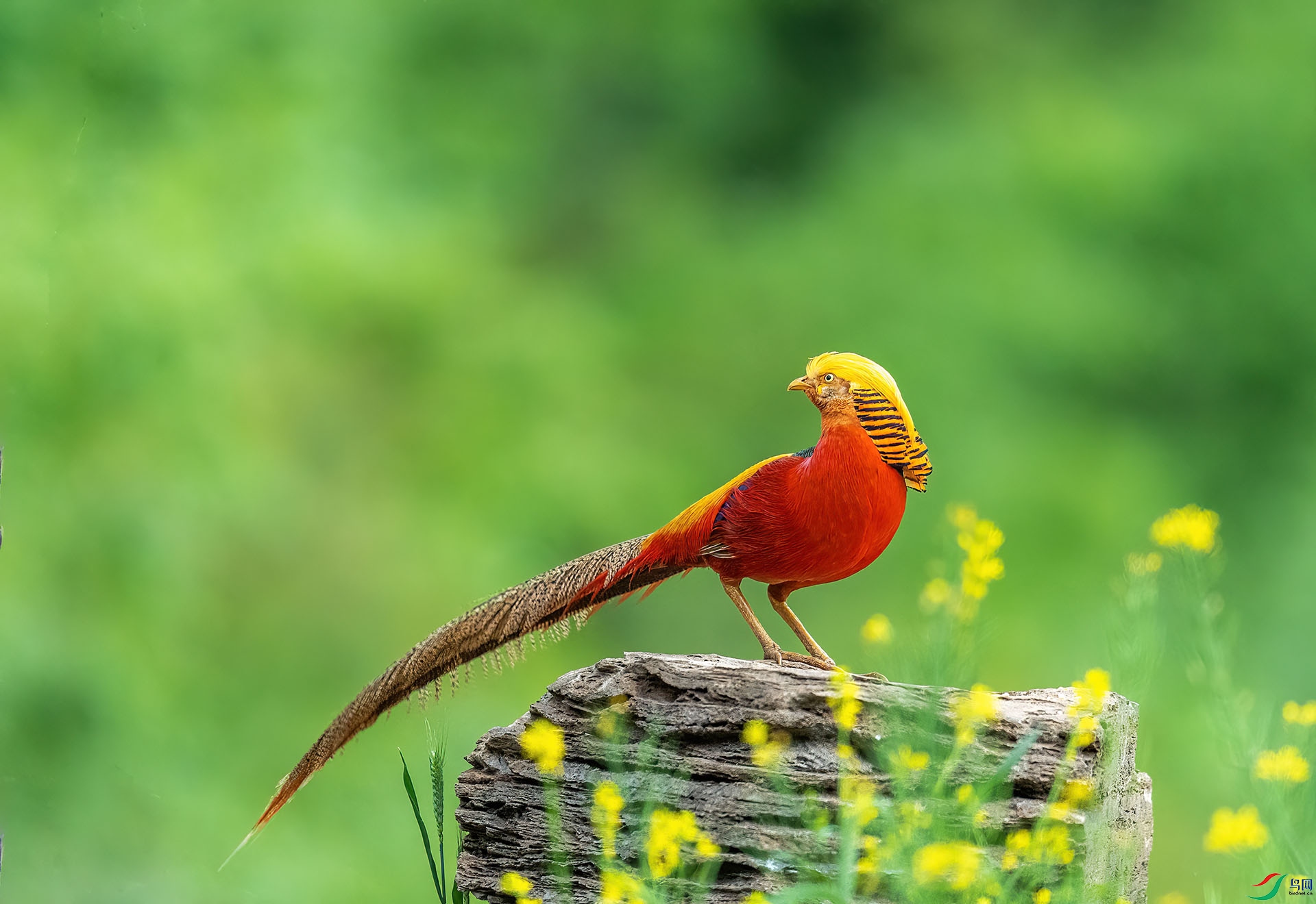 DSC_9591 -1.jpg