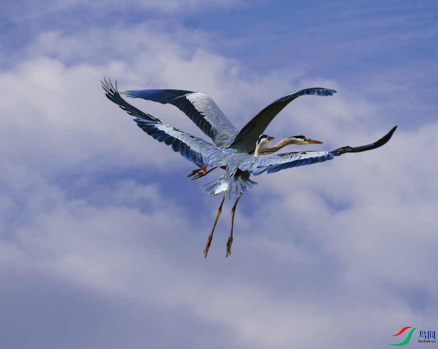 056A0876 - ����.png