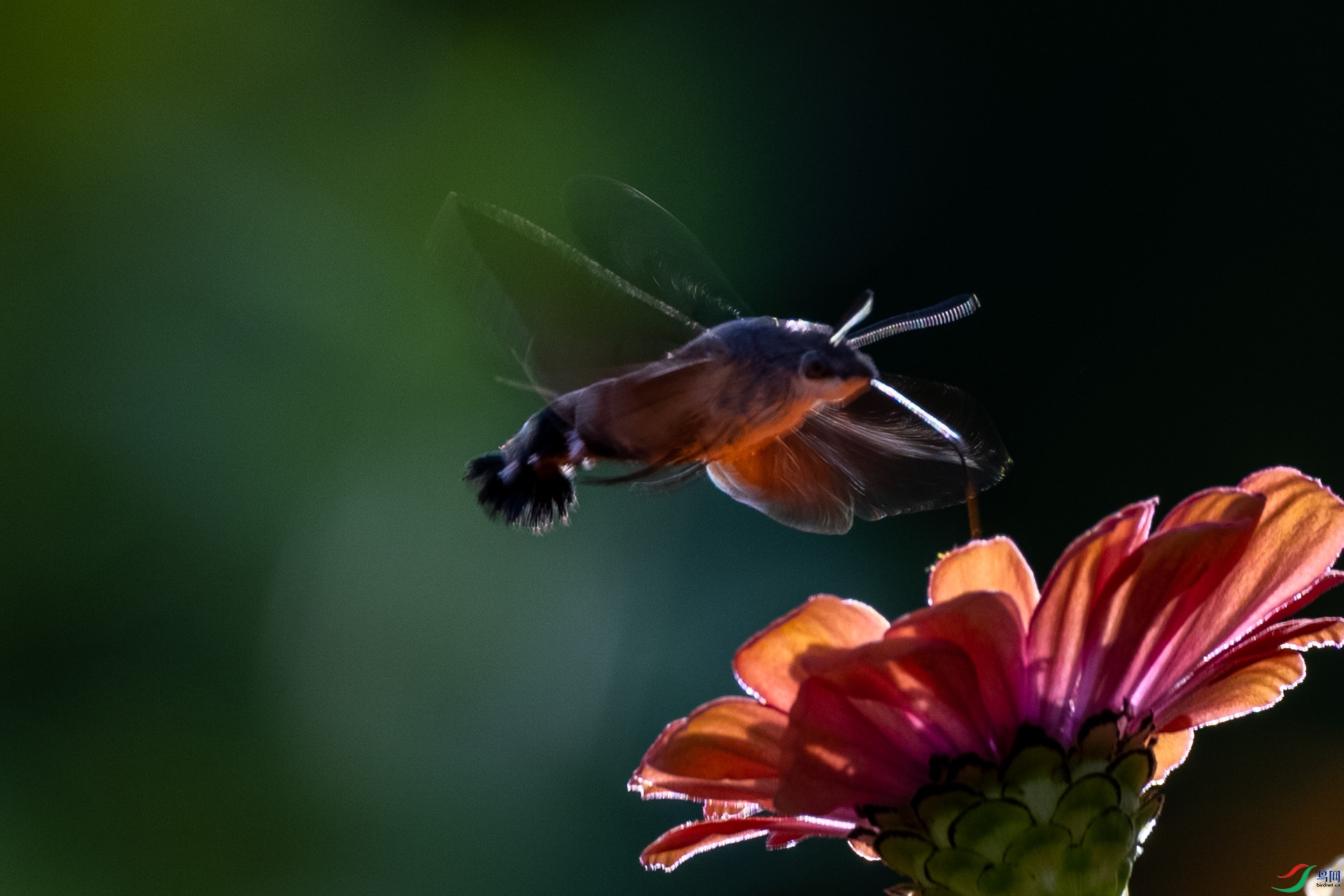 451A8087 ����.jpg