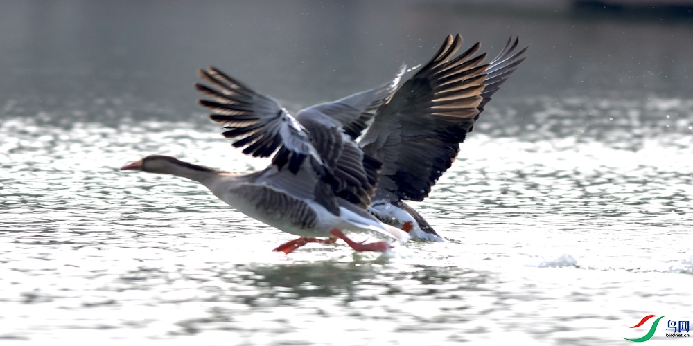 Copy2_DSC_4291.JPG