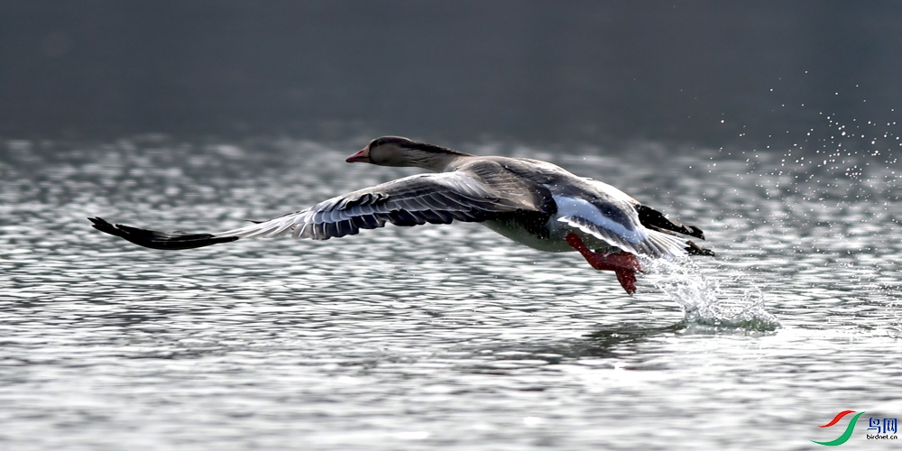 Copy2_DSC_4301.JPG