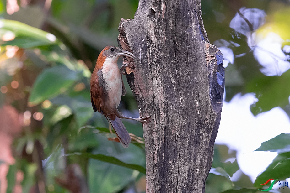 DSC_5268_DxOa.jpg