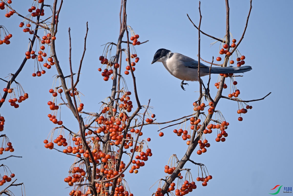 DSC_2686.JPG