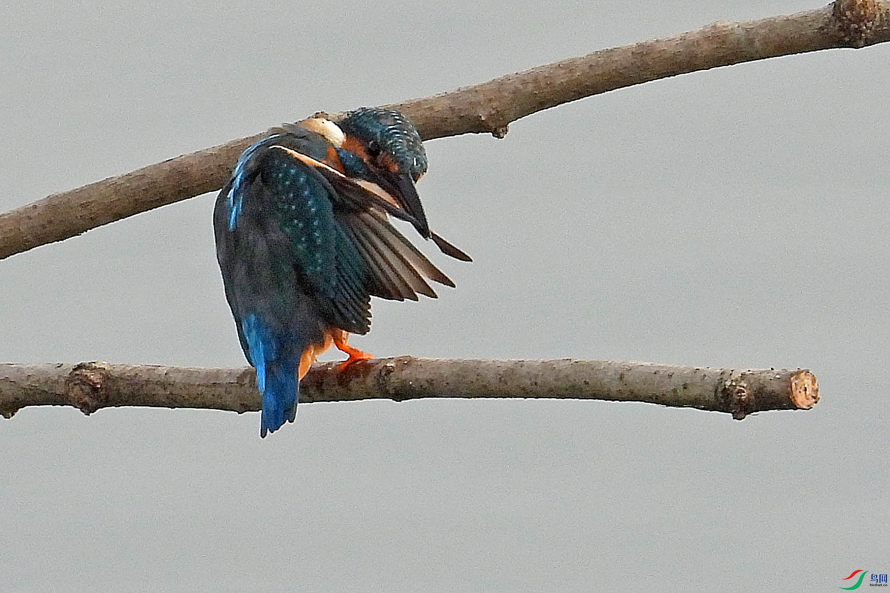 DSCN6391.jpg