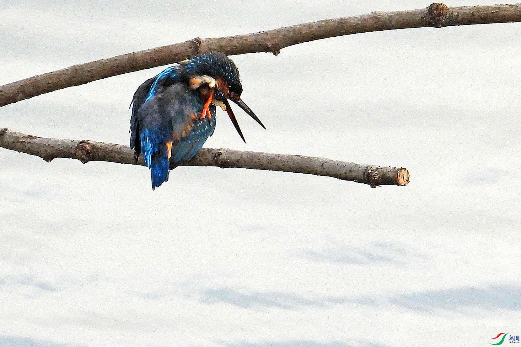 DSCN6422.jpg