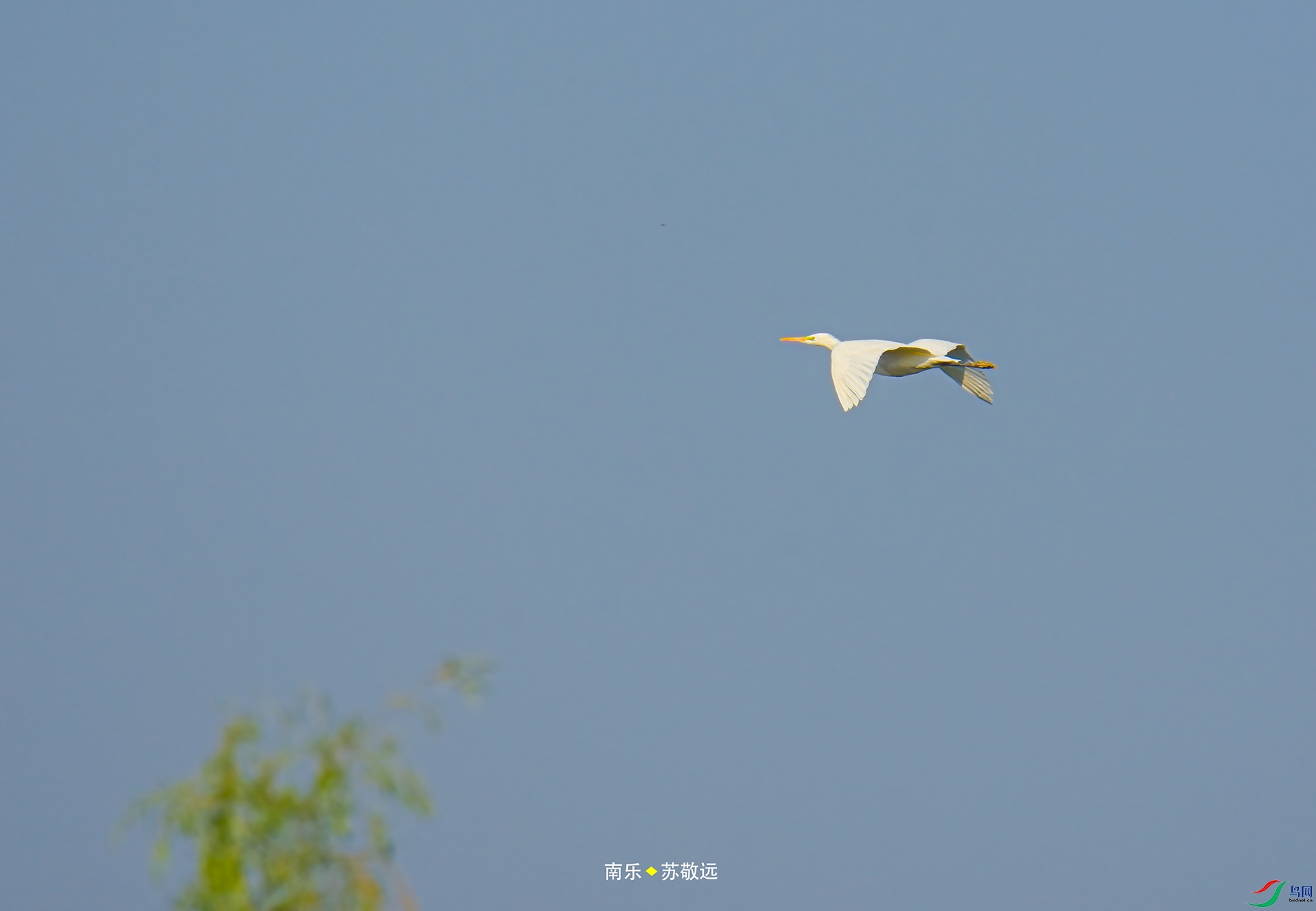 _DSC8693С.jpg