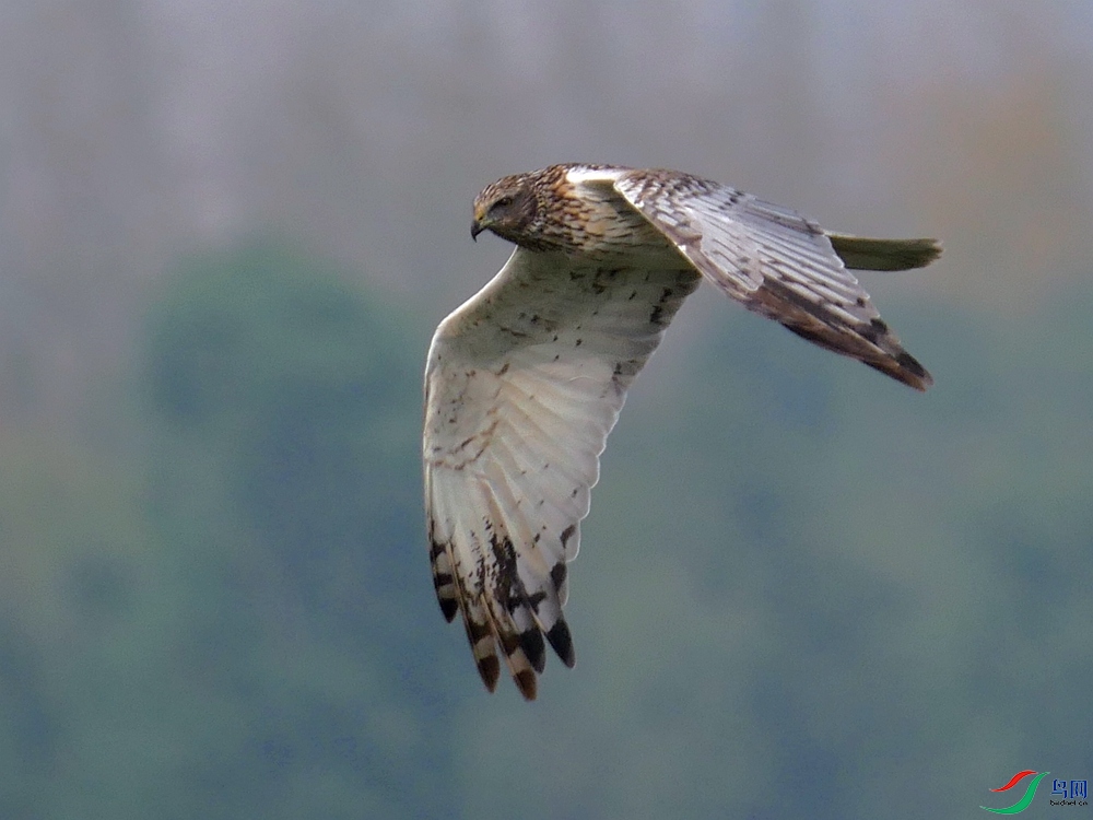 P9070609 - ����.JPG