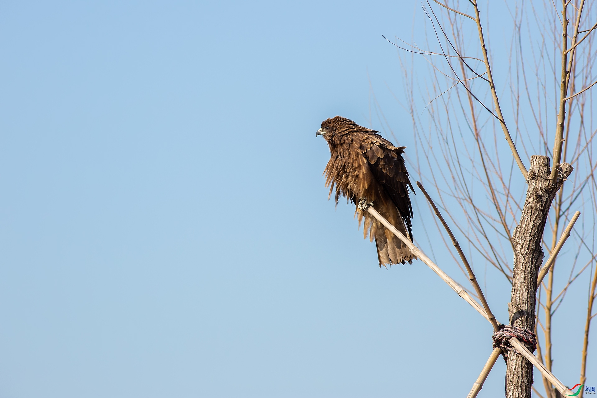 5D3A_4017.jpg