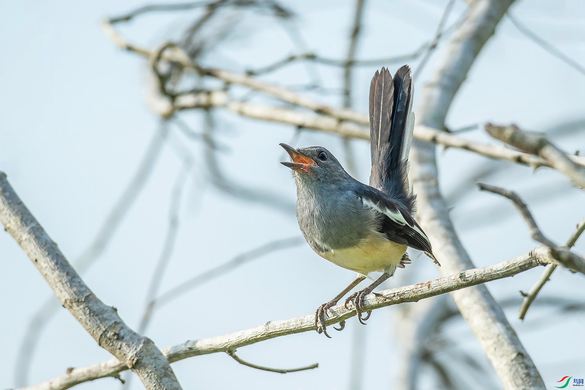 DSC_6655.jpg