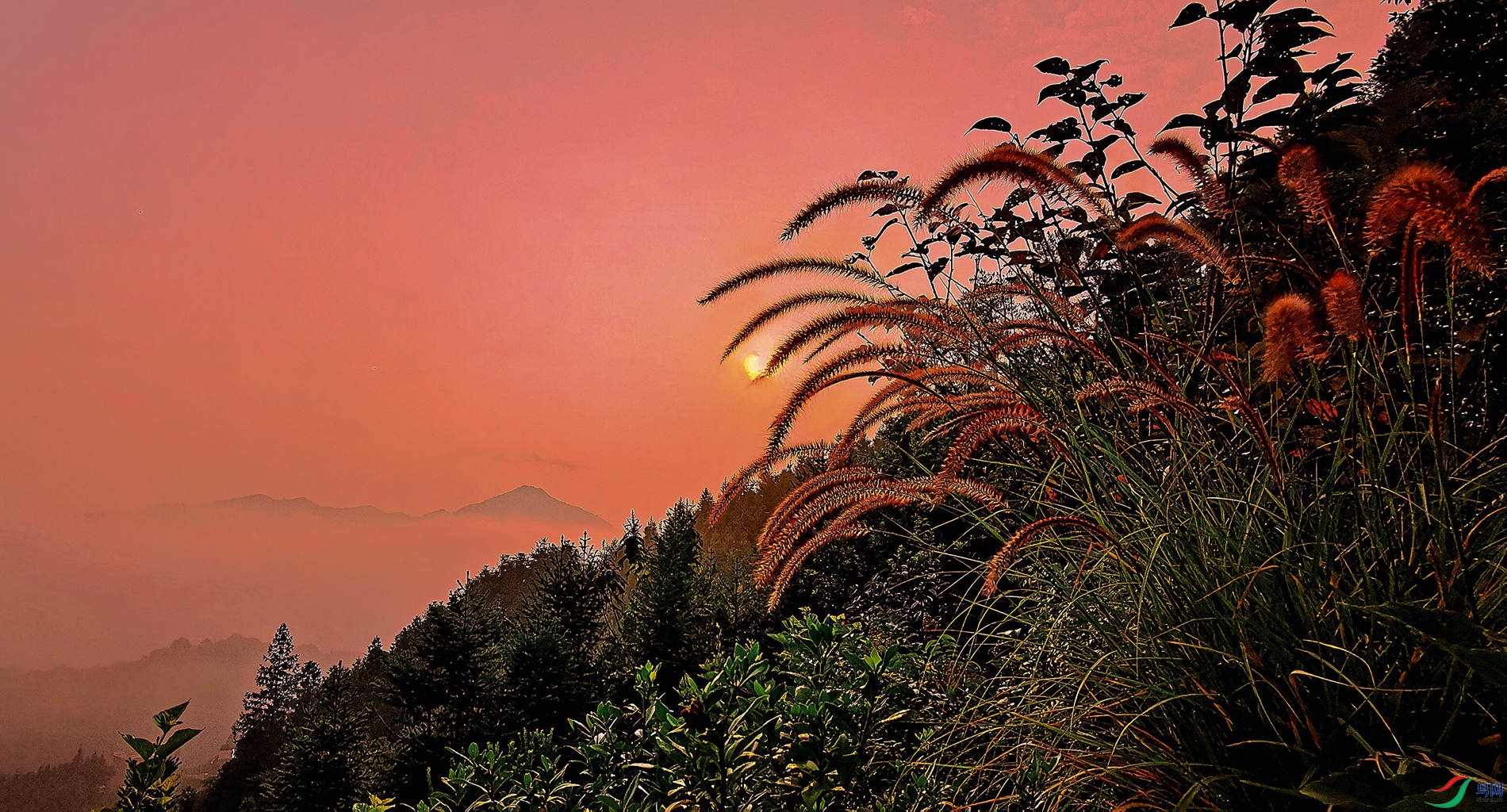 ���ճ���