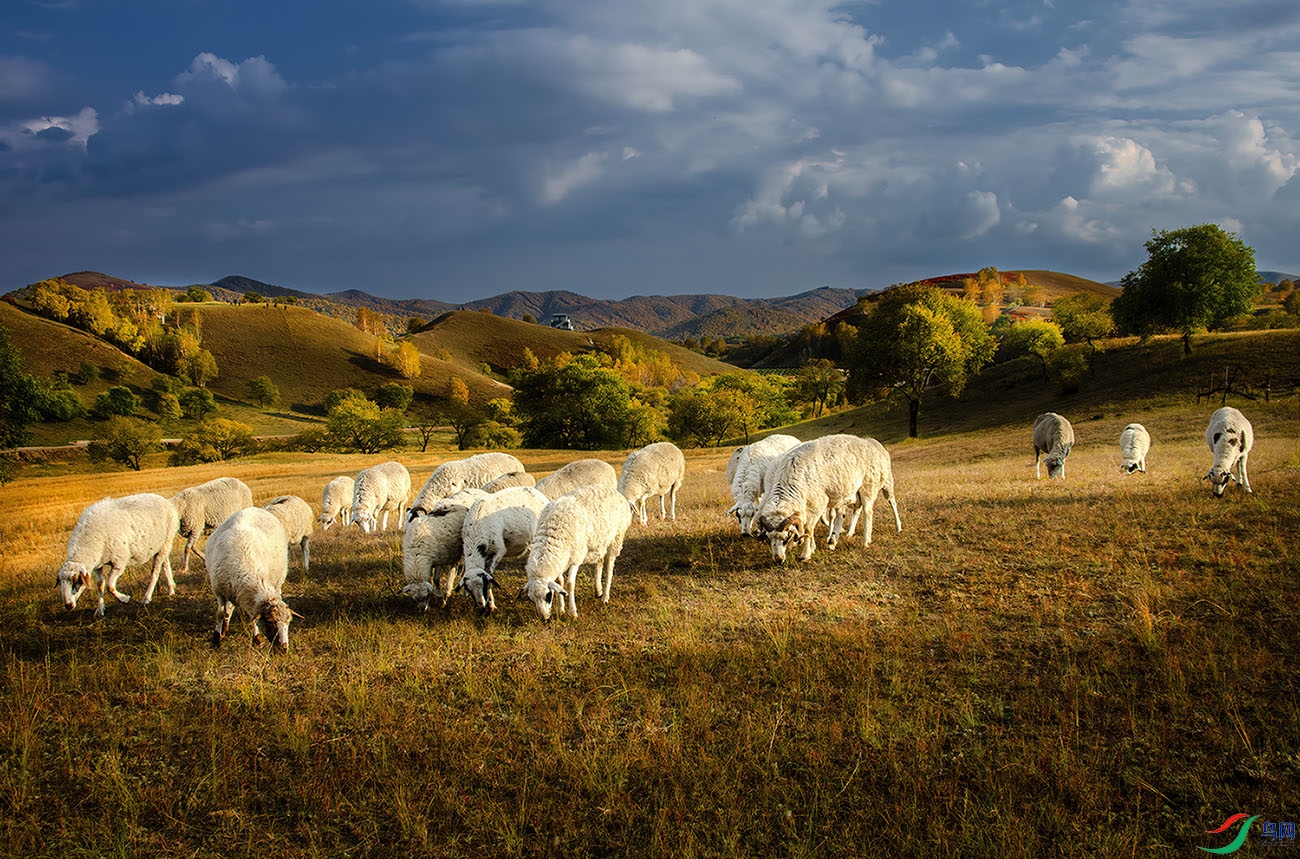 DSC_8579-NEF_DxO_DeepPRIME -A.jpg