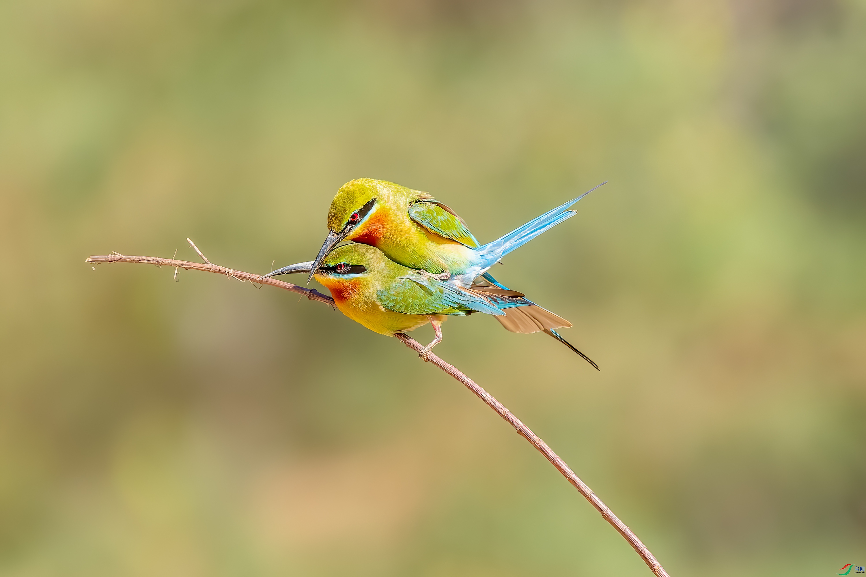 DSC_2106.jpg