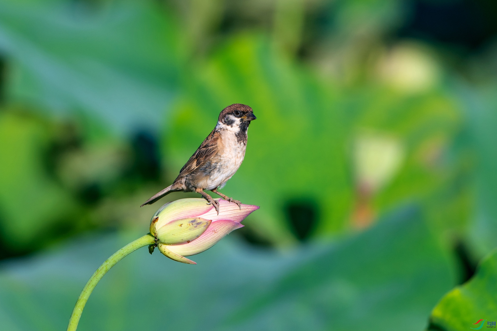 ��_AUU4733������ȸ(22.8.22)-1.jpg